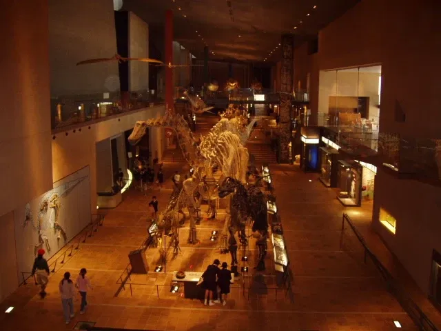 Kitakyushu Museum of Natural History & Human History