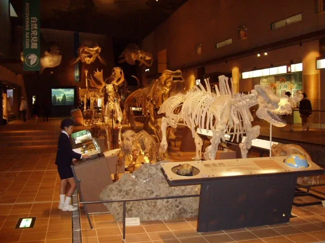 Kitakyushu Museum of Natural History & Human History
