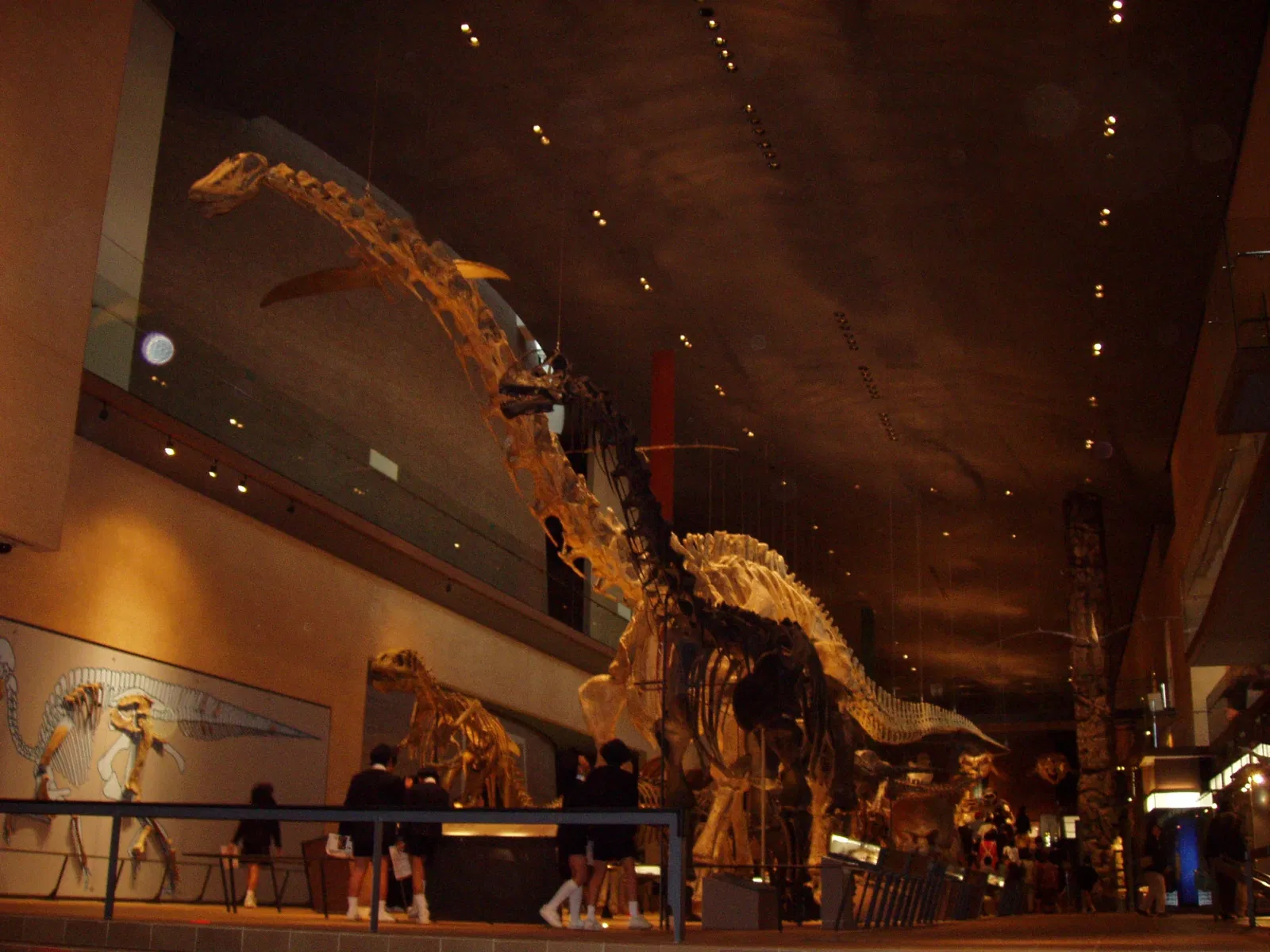 Kitakyushu Museum of Natural History & Human History