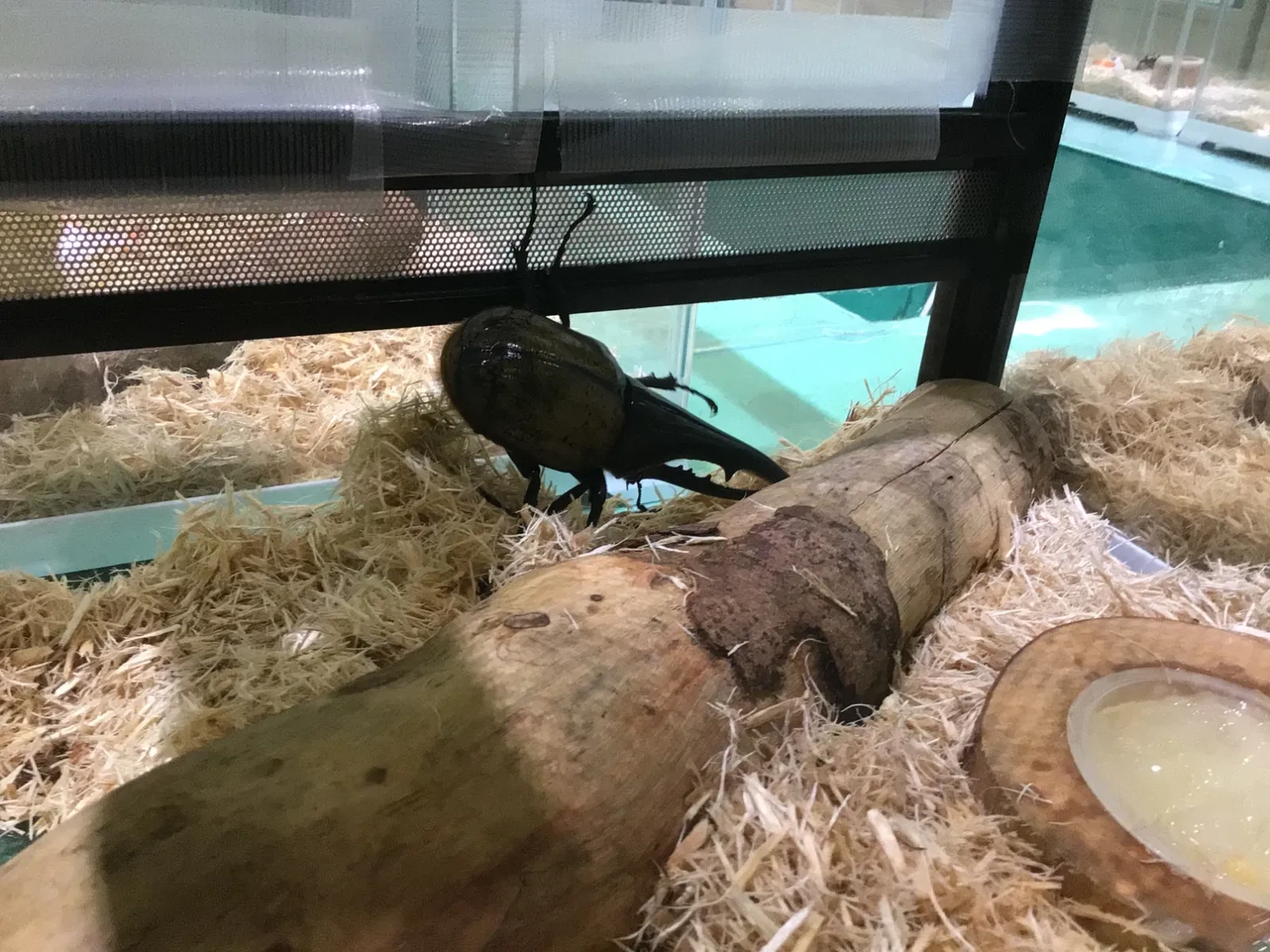 Kitakyushu Museum of Natural History & Human History