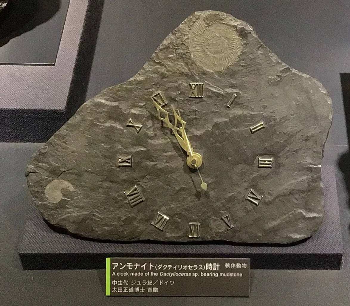 Kitakyushu Museum of Natural History & Human History