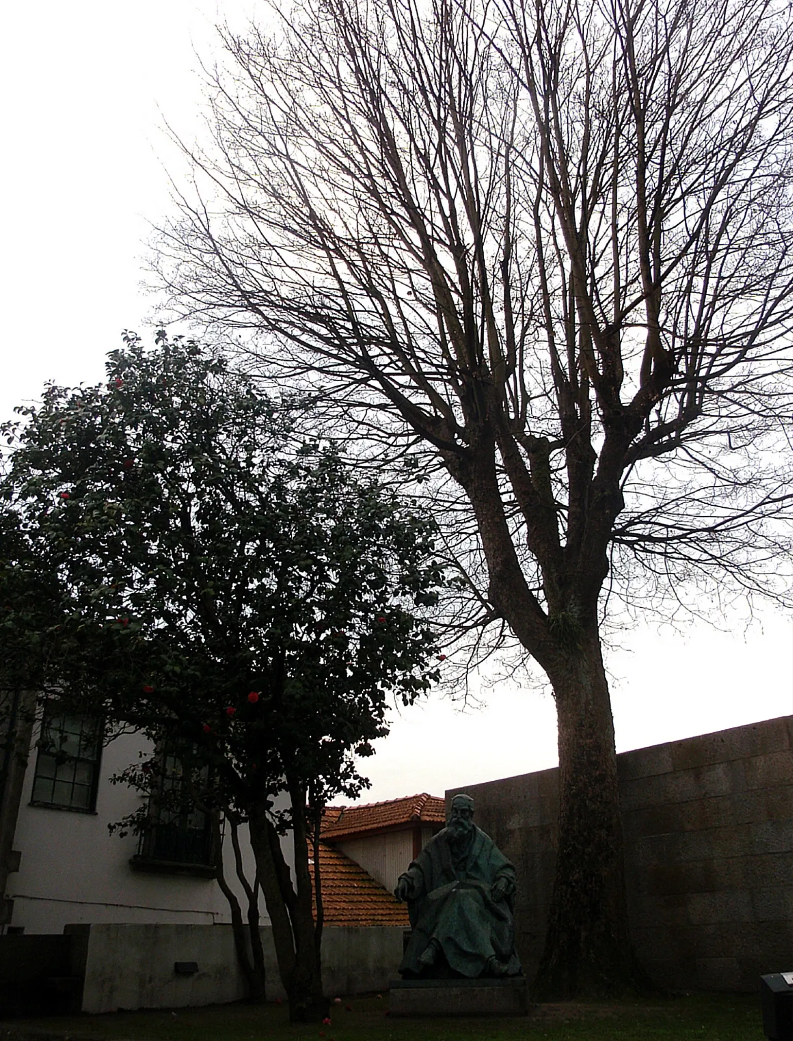 Guerra Junqueiro House Museum