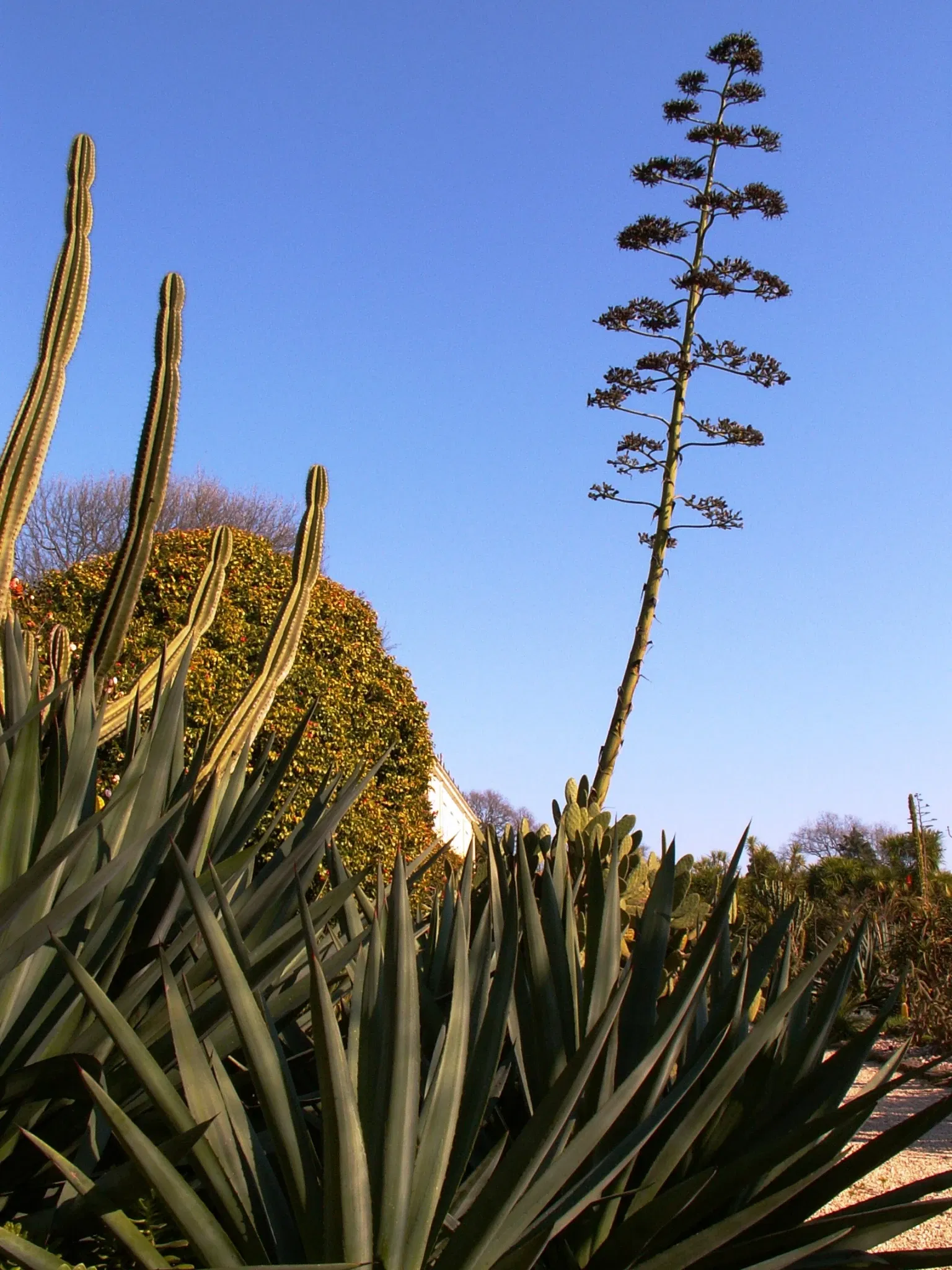 Porto Botanical Garden