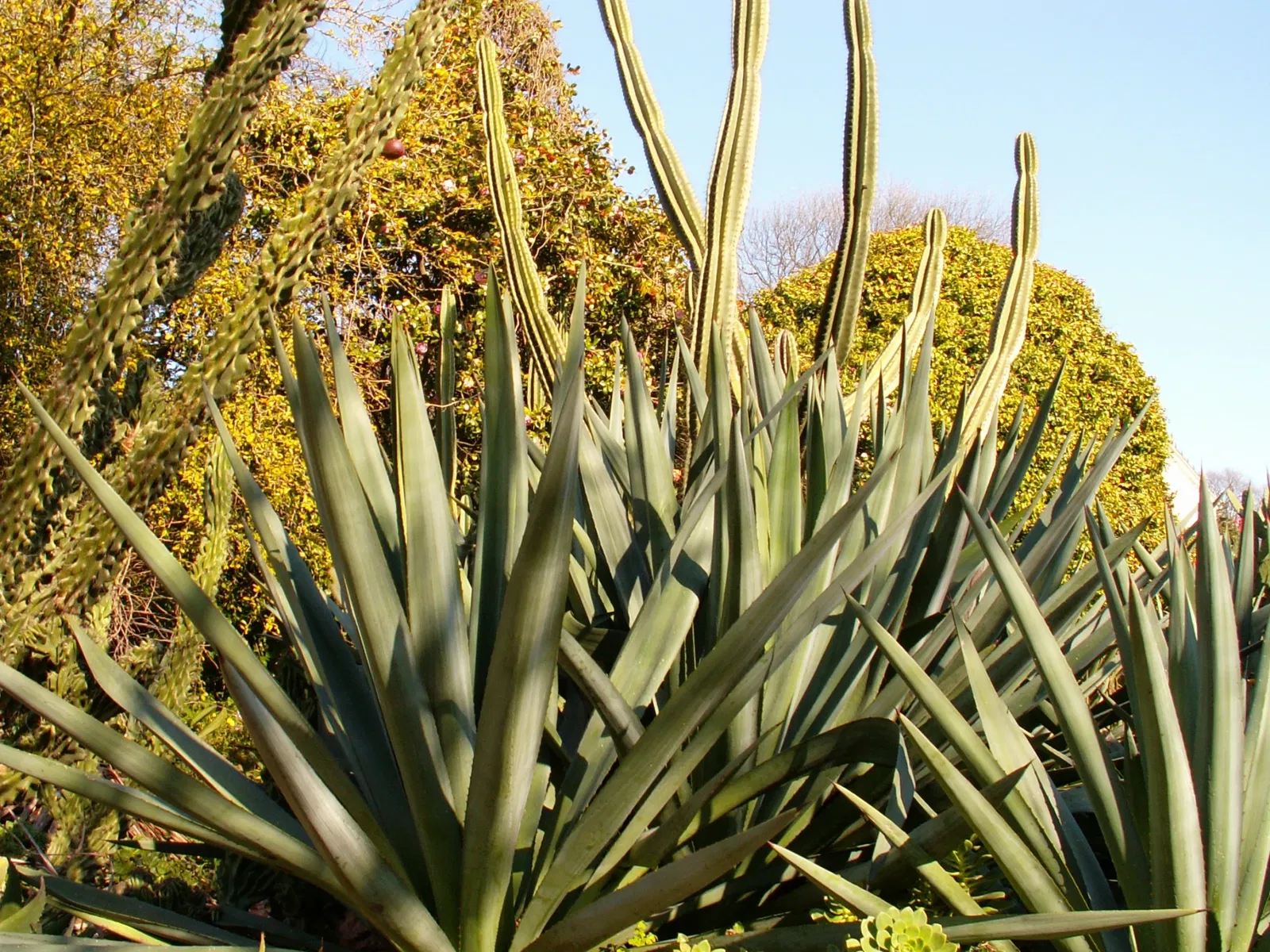 Porto Botanical Garden
