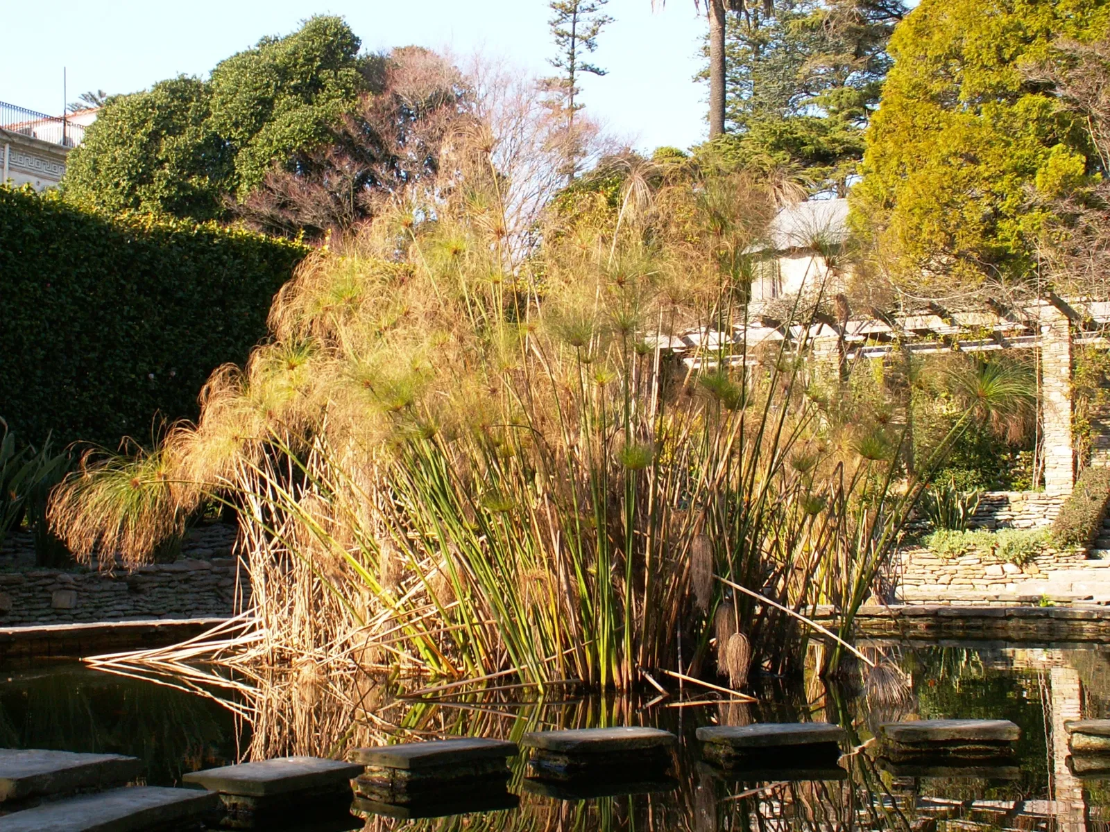 Porto Botanical Garden