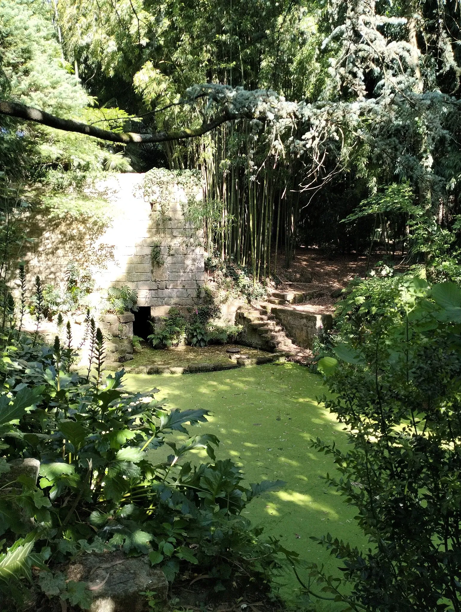 Porto Botanical Garden