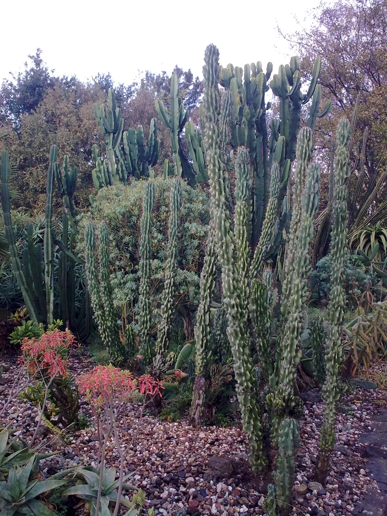 Porto Botanical Garden