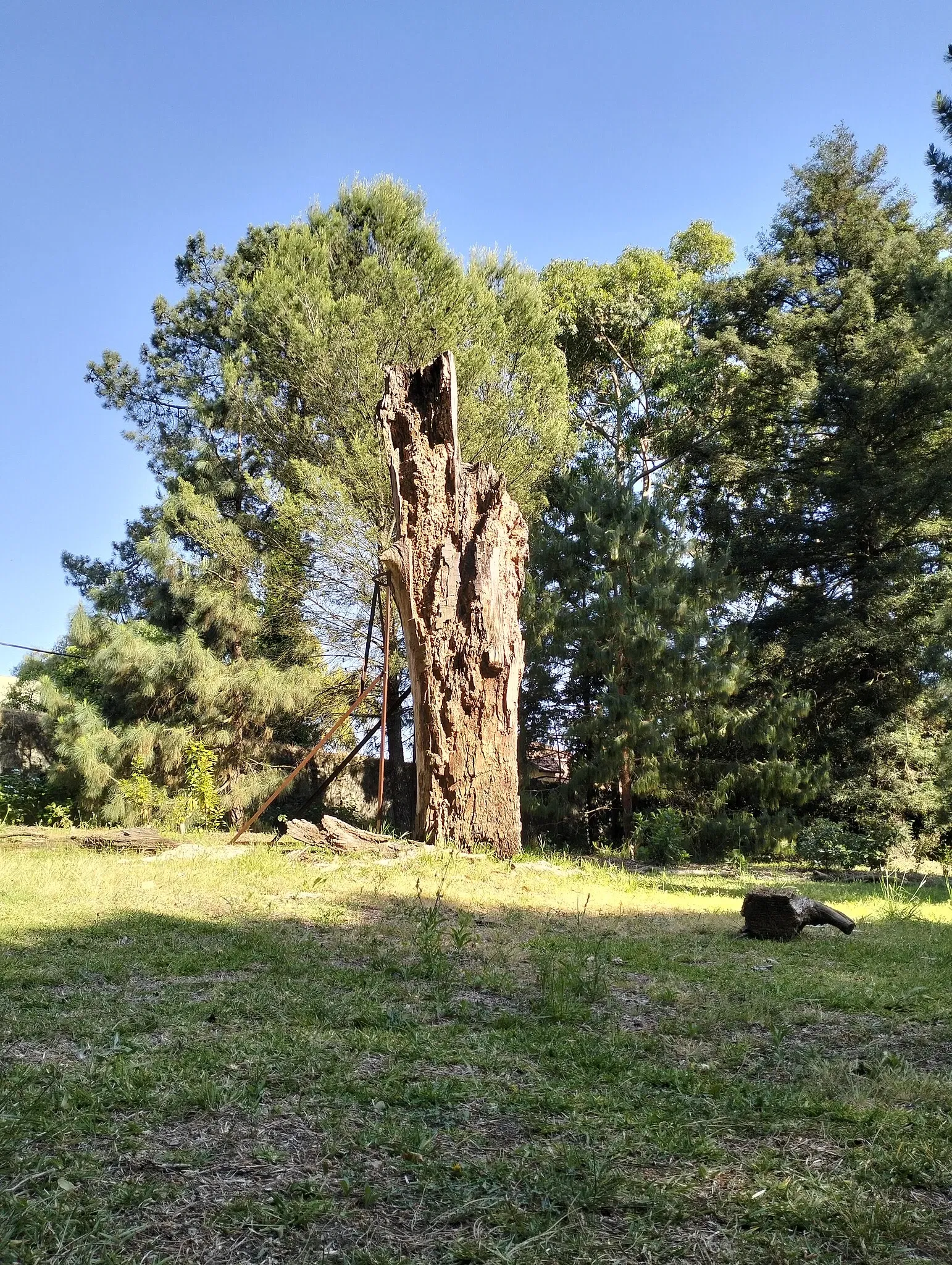 Porto Botanical Garden
