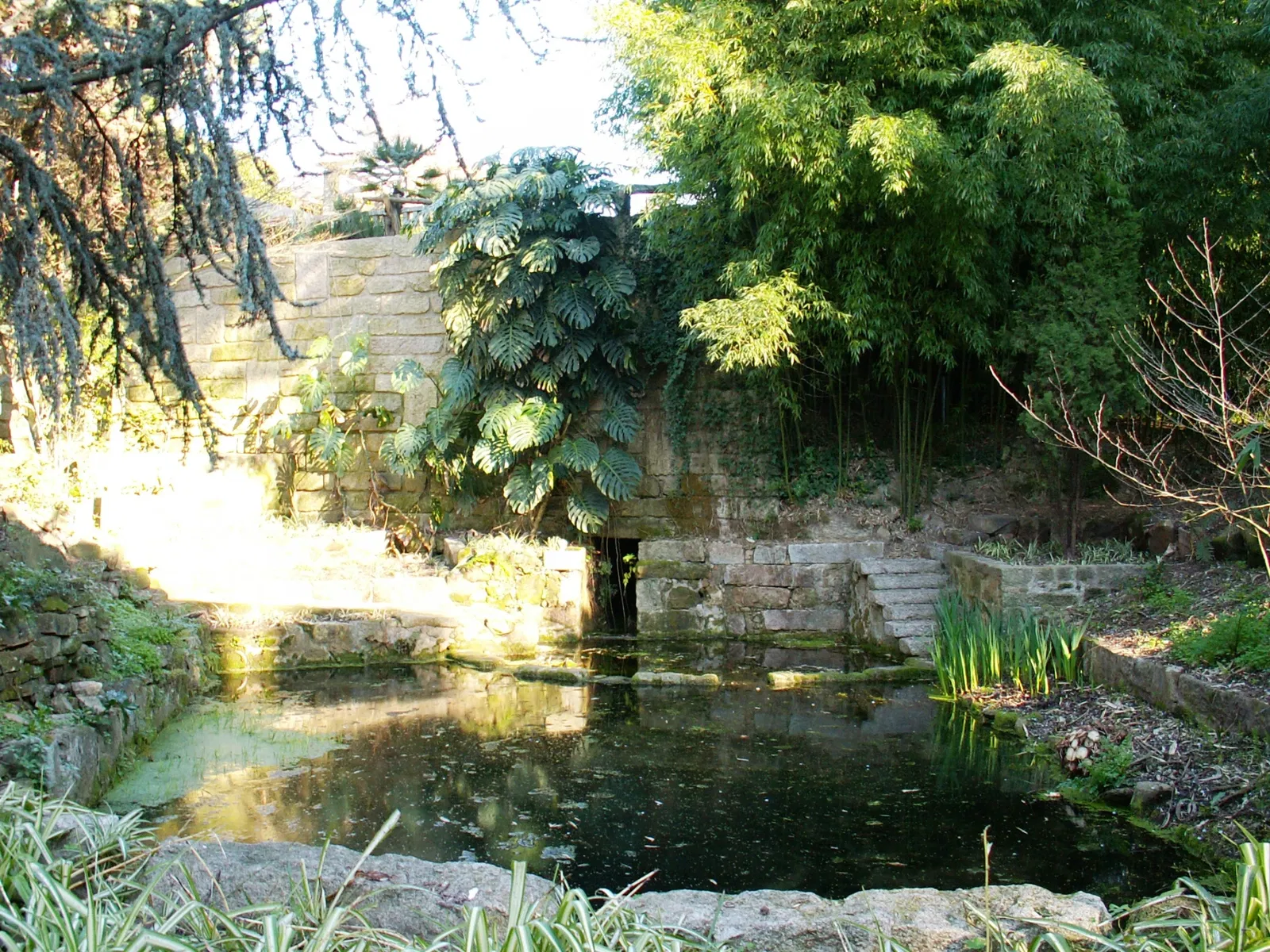 Porto Botanical Garden