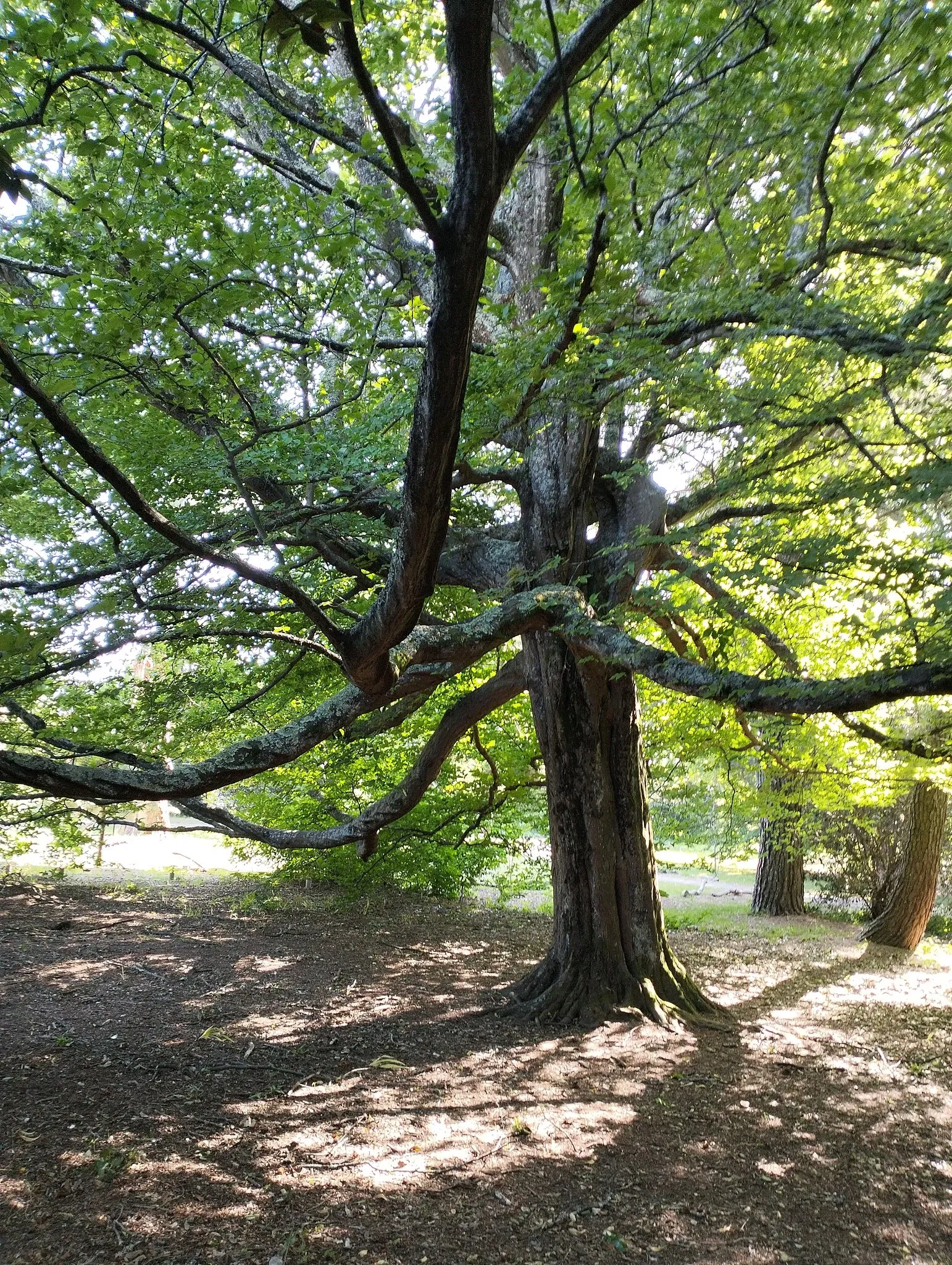 Porto Botanical Garden
