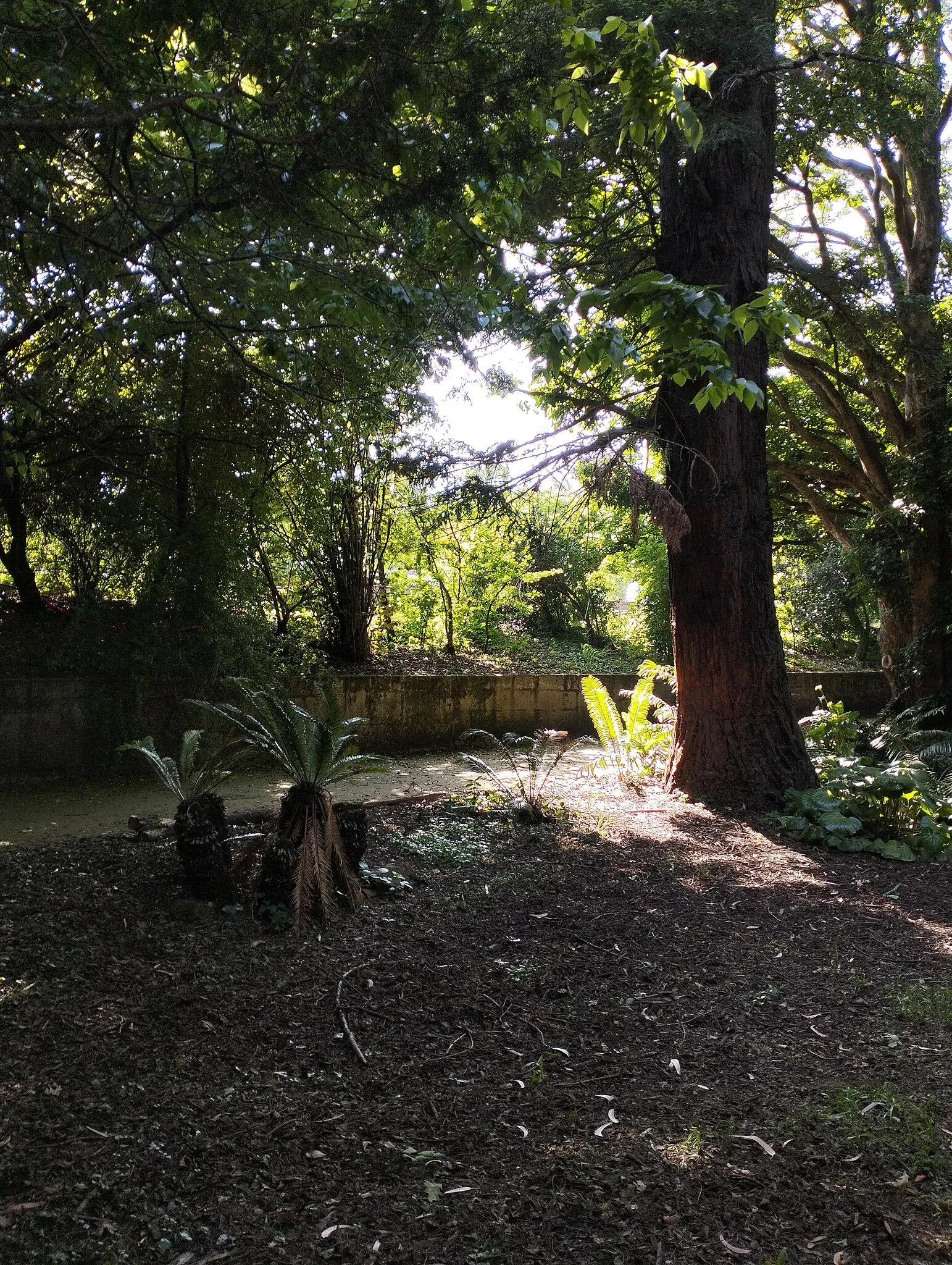 Porto Botanical Garden