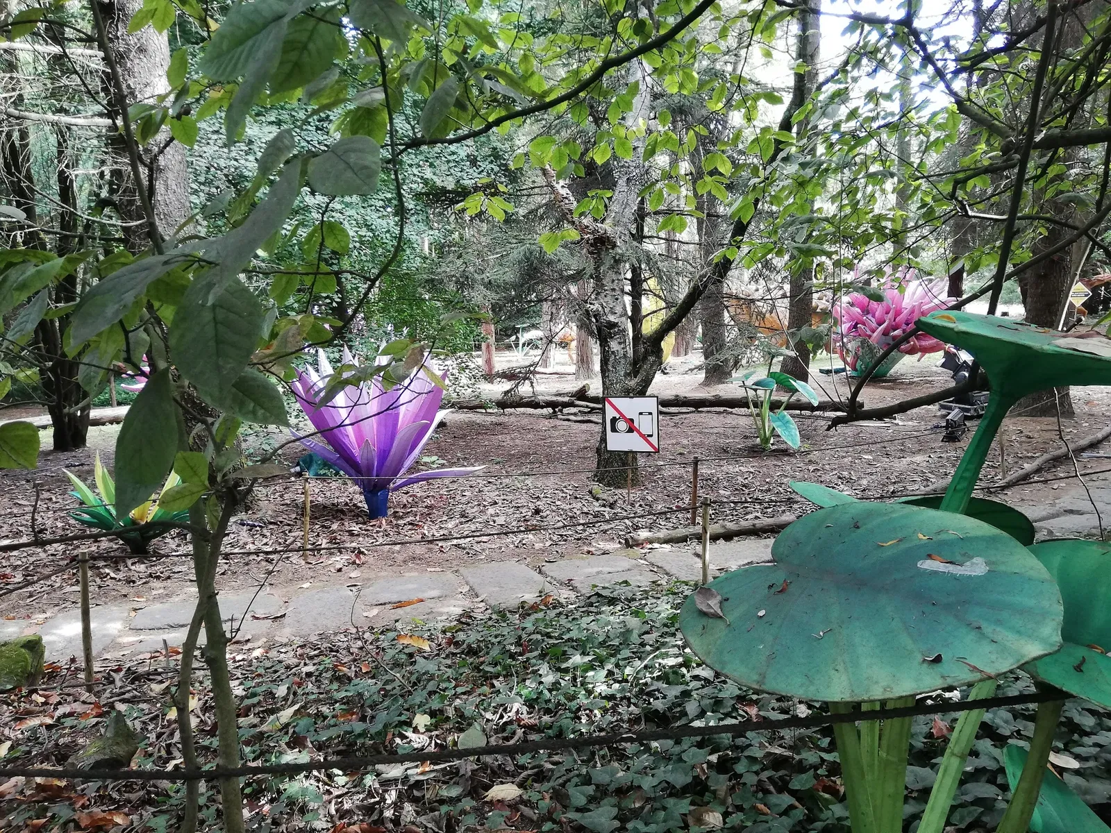 Porto Botanical Garden