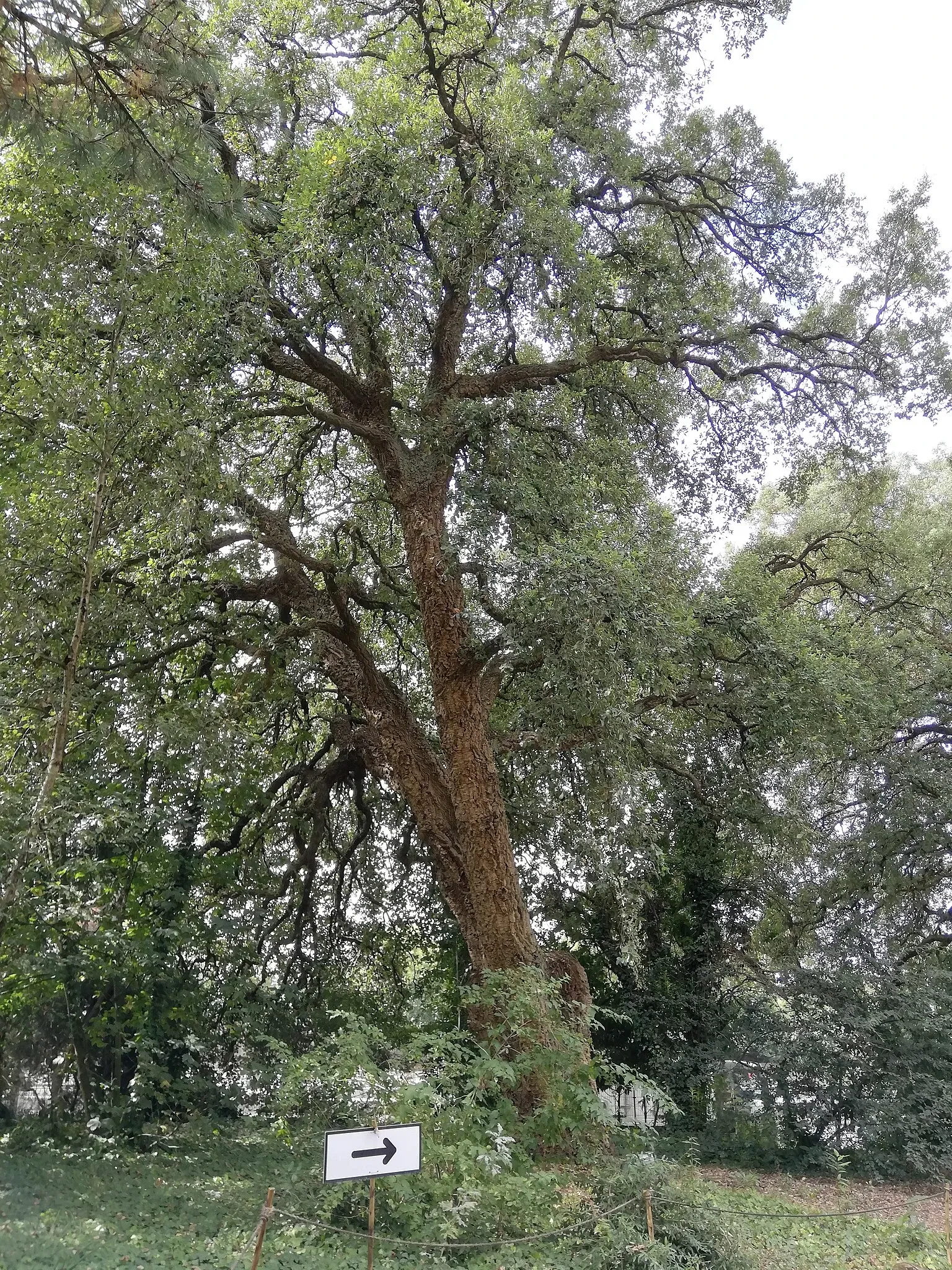 Porto Botanical Garden