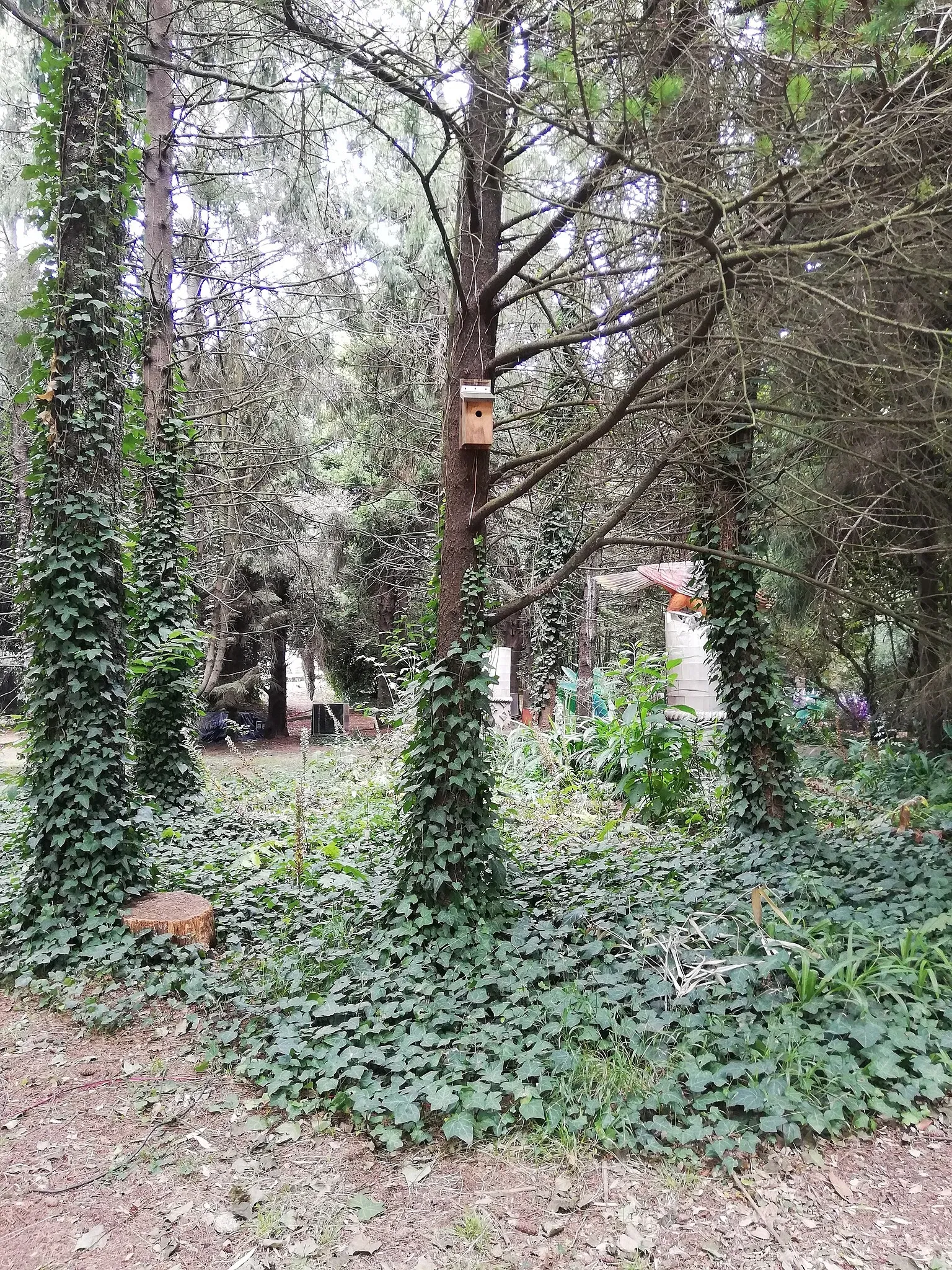 Porto Botanical Garden