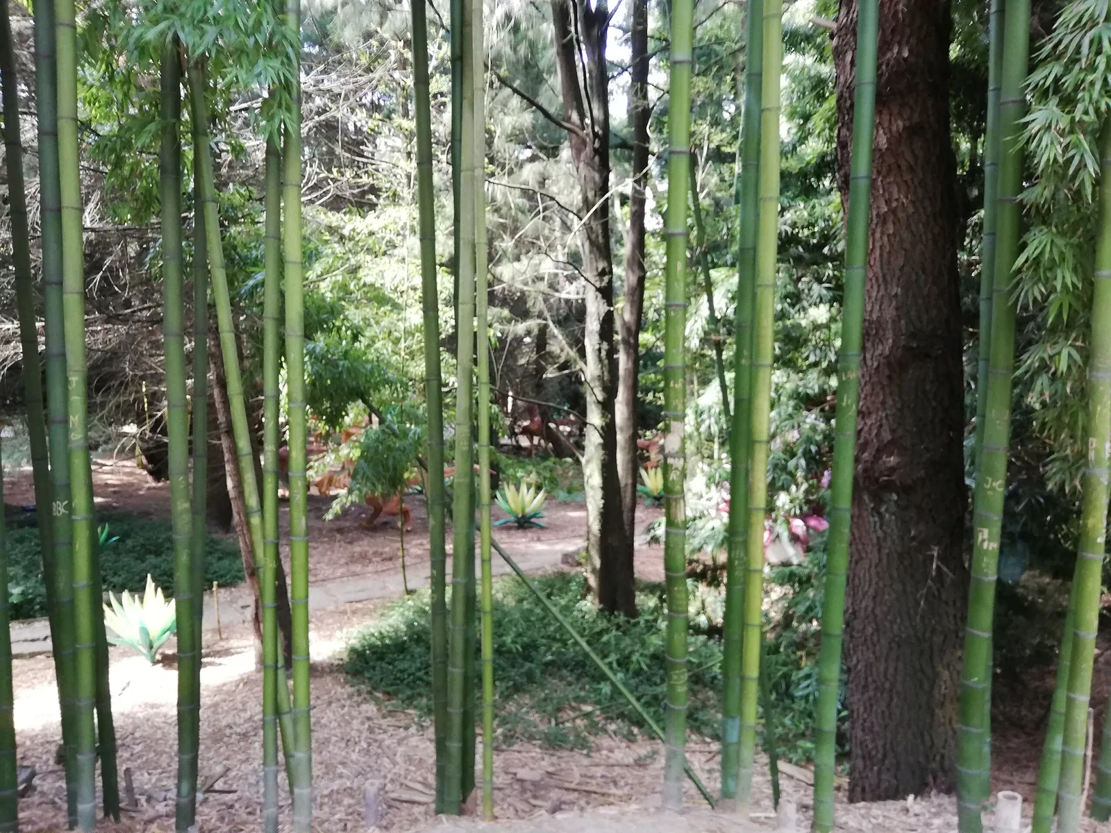 Porto Botanical Garden