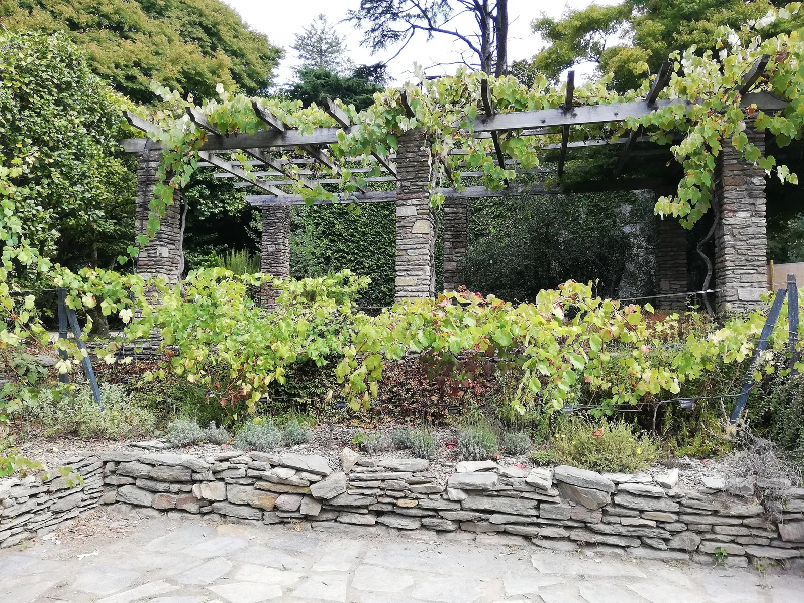 Porto Botanical Garden