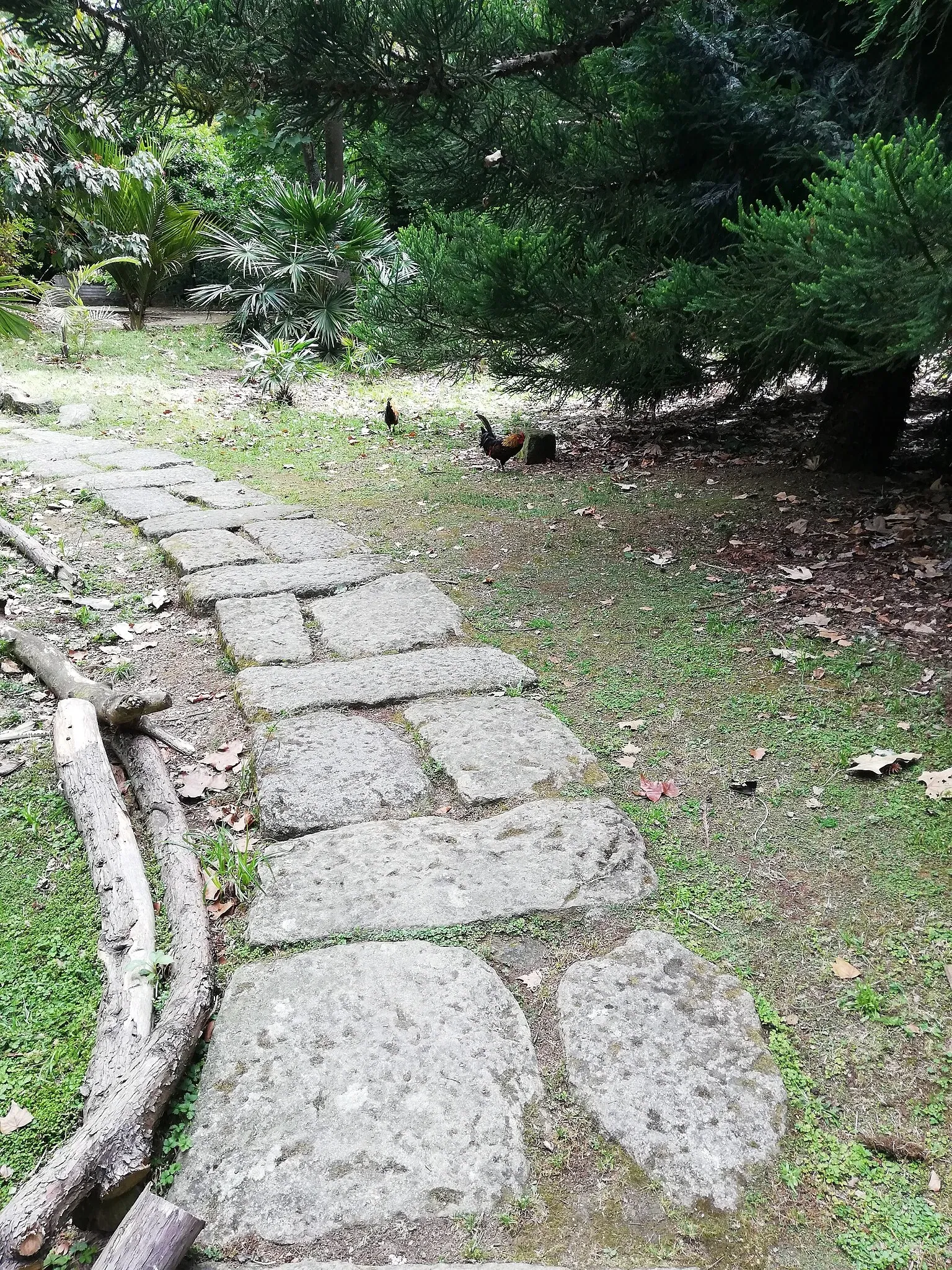 Porto Botanical Garden