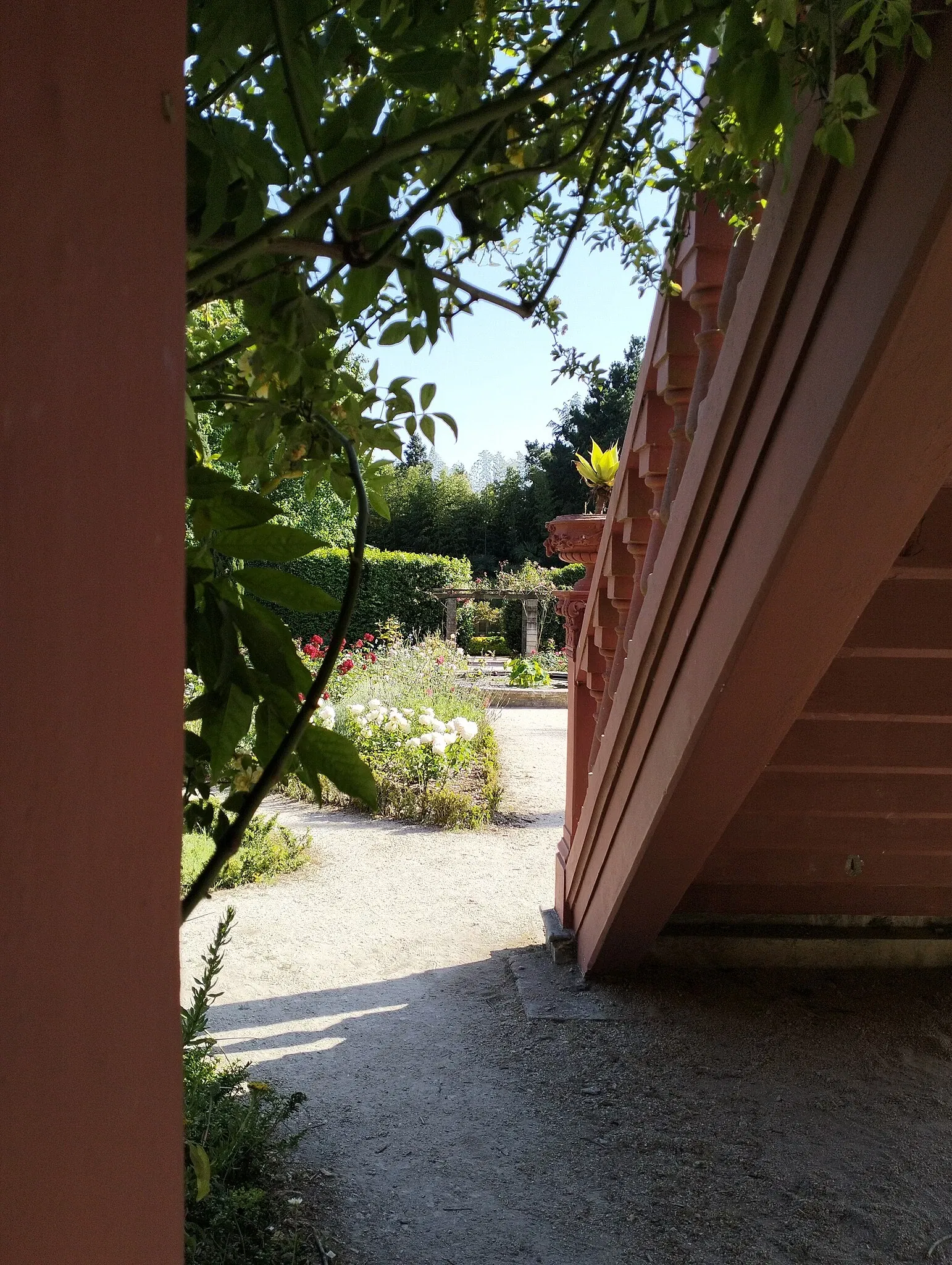 Porto Botanical Garden