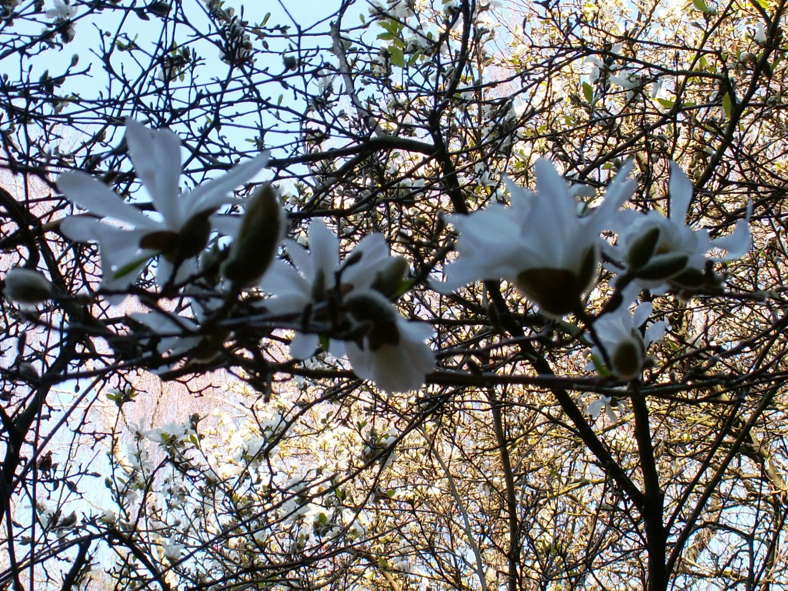Porto Botanical Garden