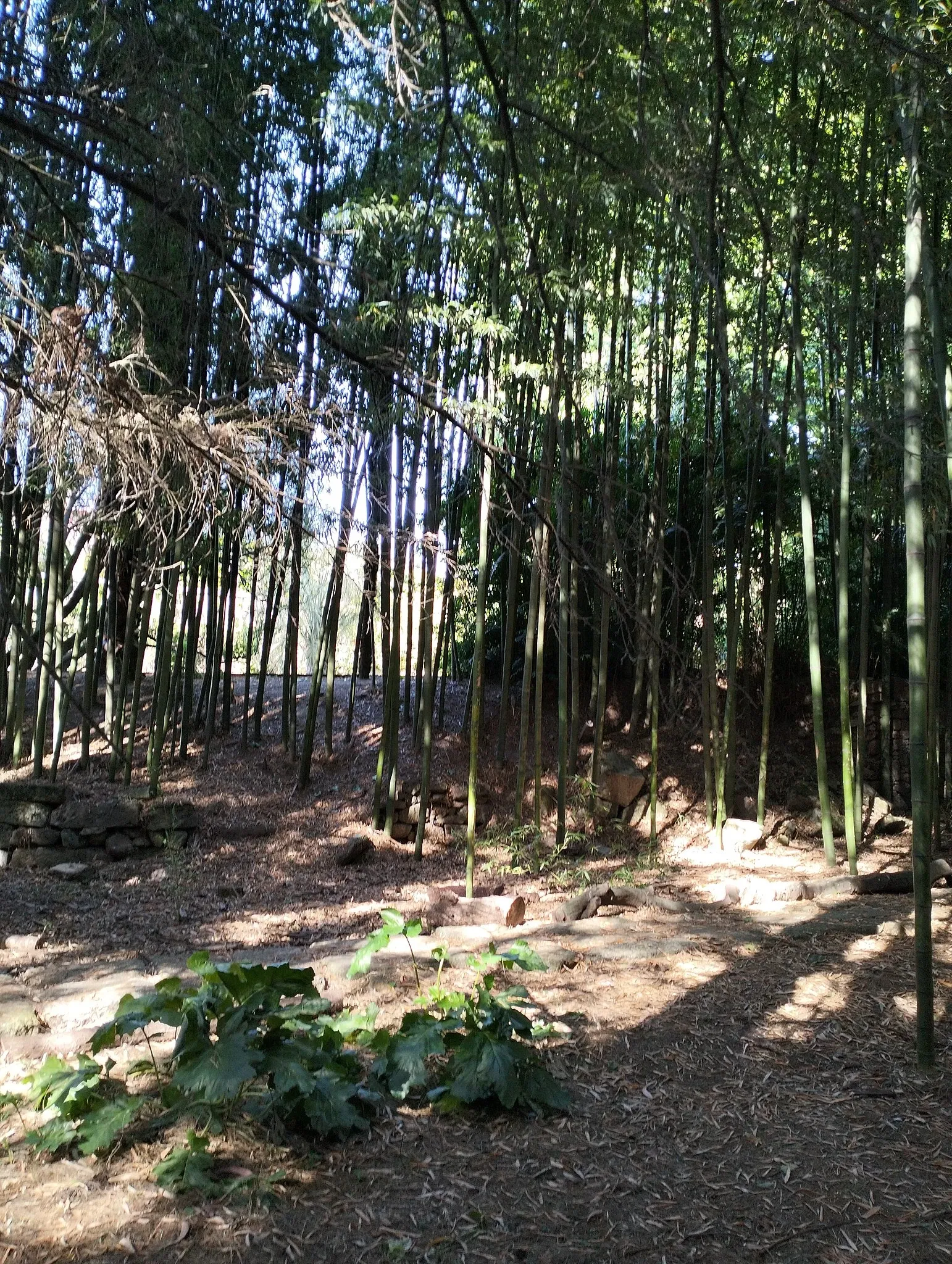 Porto Botanical Garden