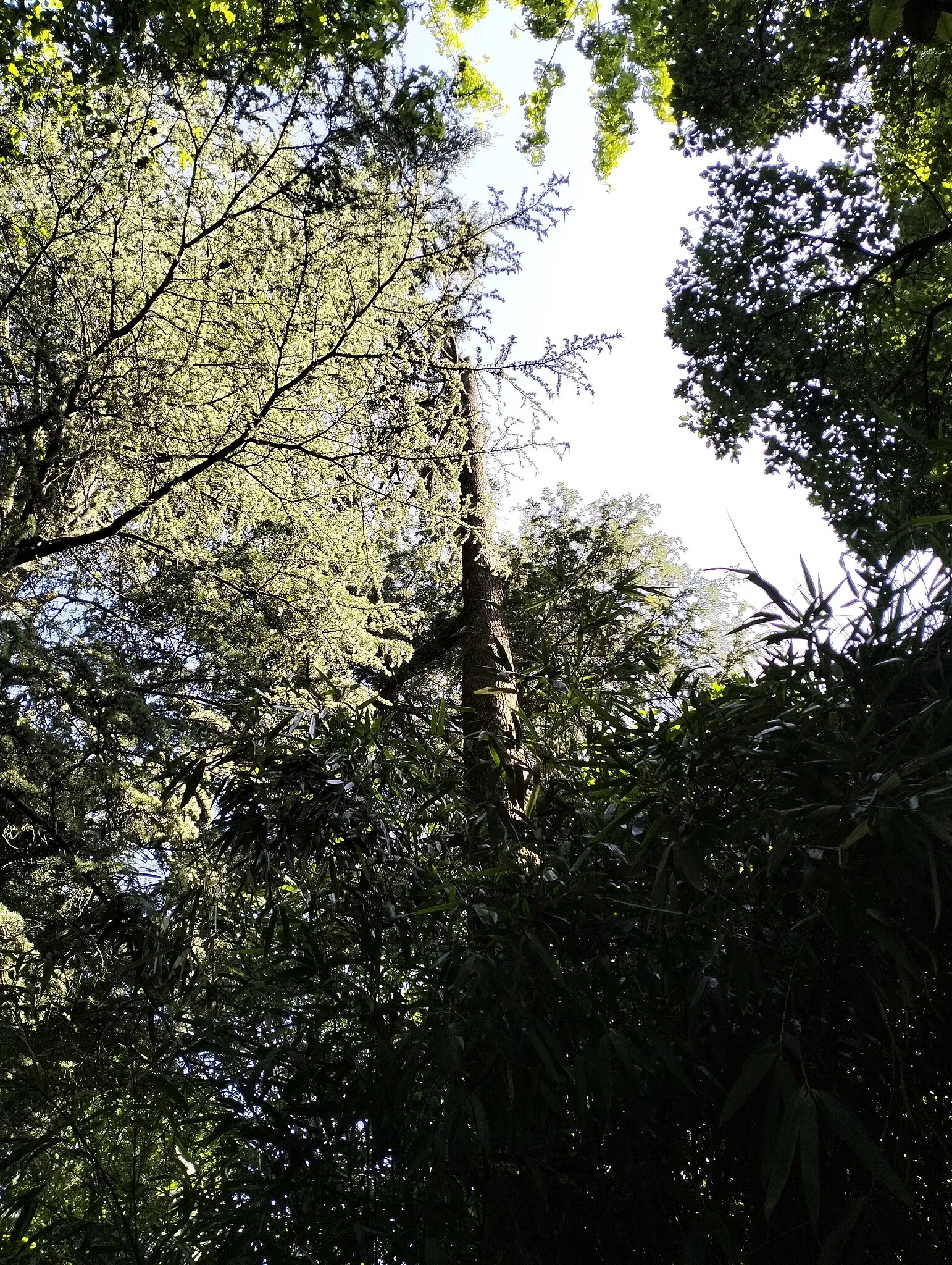 Porto Botanical Garden