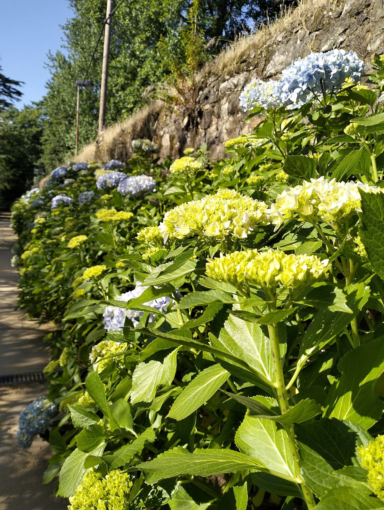Porto Botanical Garden