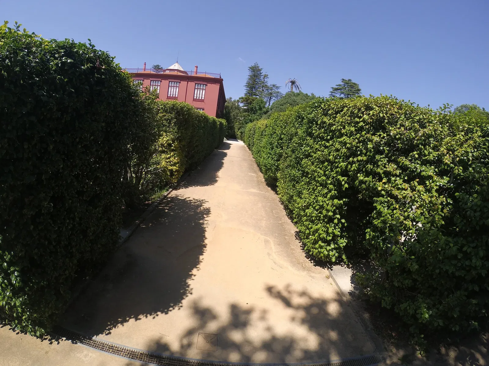 Porto Botanical Garden