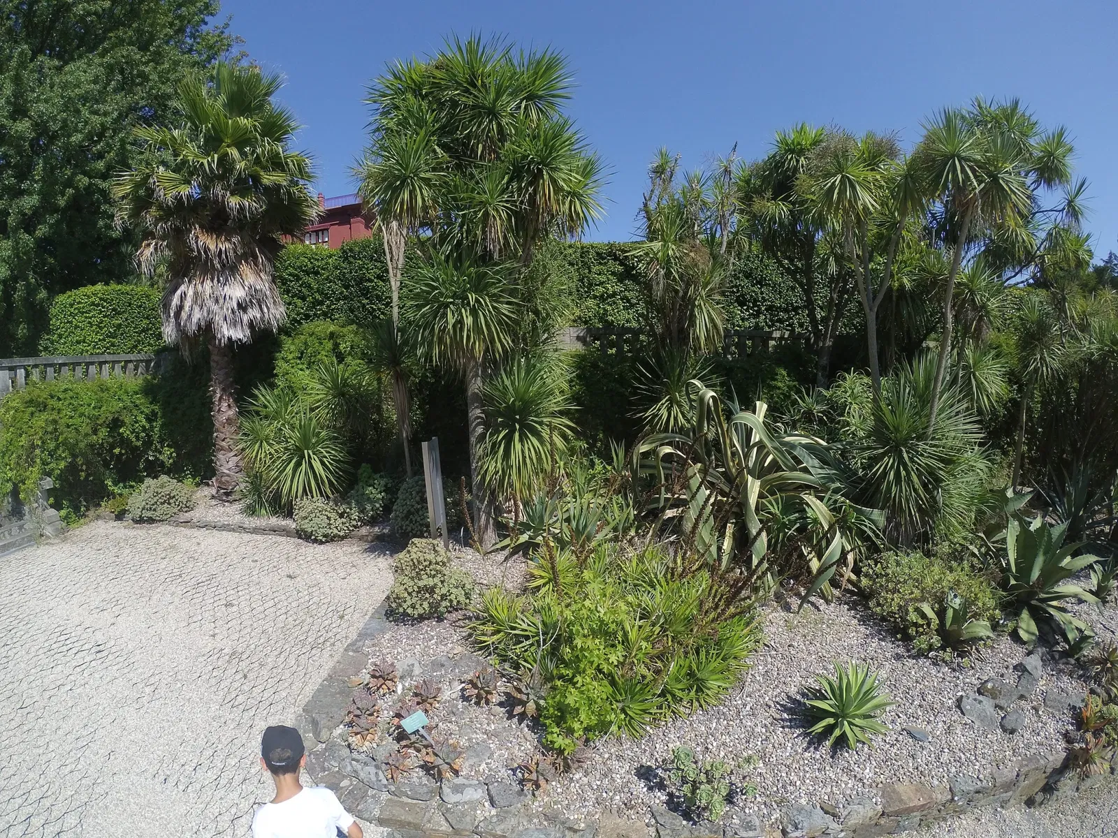 Porto Botanical Garden