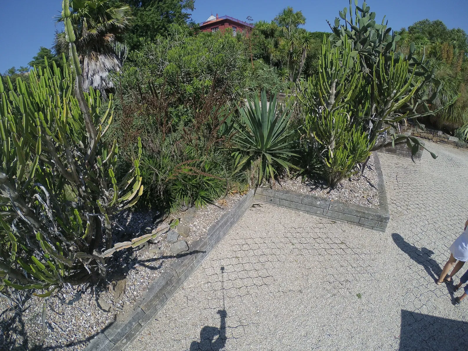 Porto Botanical Garden