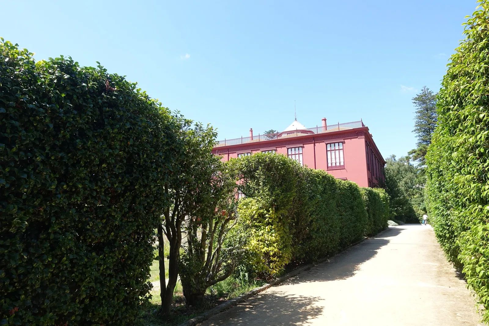 Porto Botanical Garden