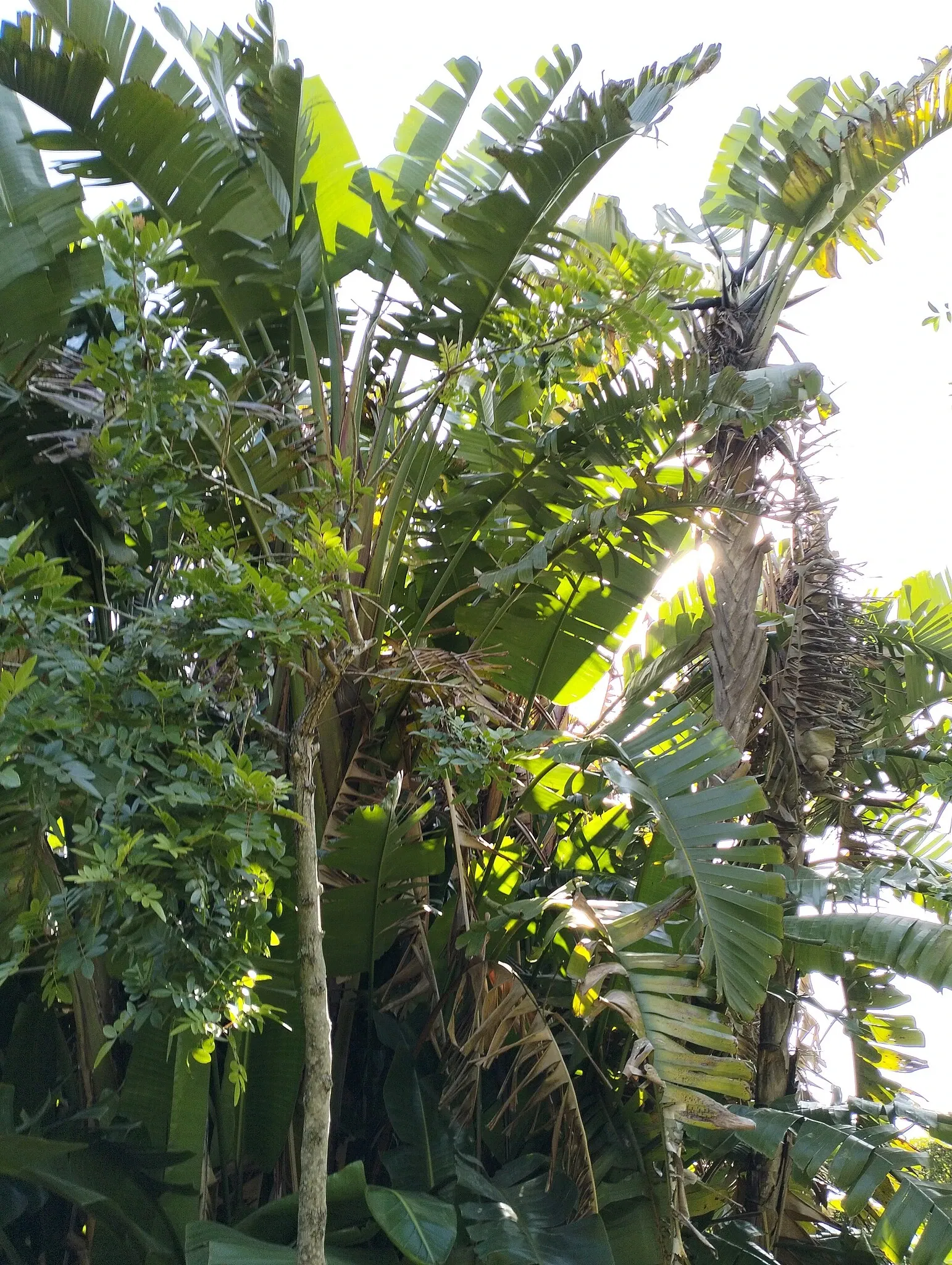 Porto Botanical Garden