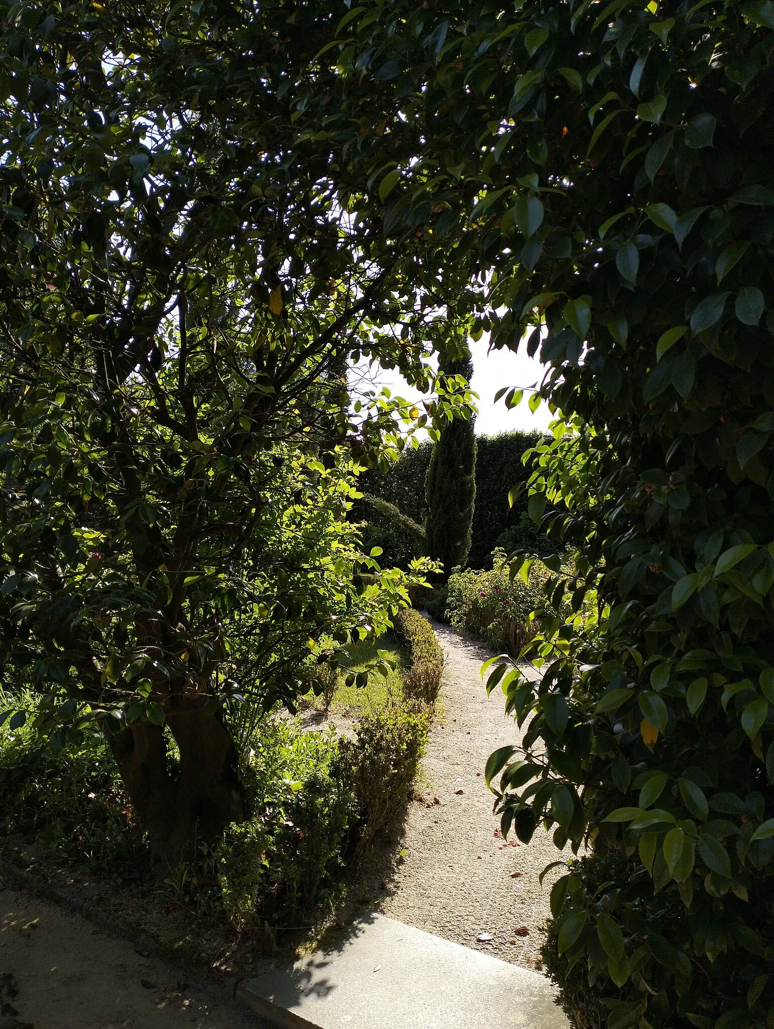 Porto Botanical Garden