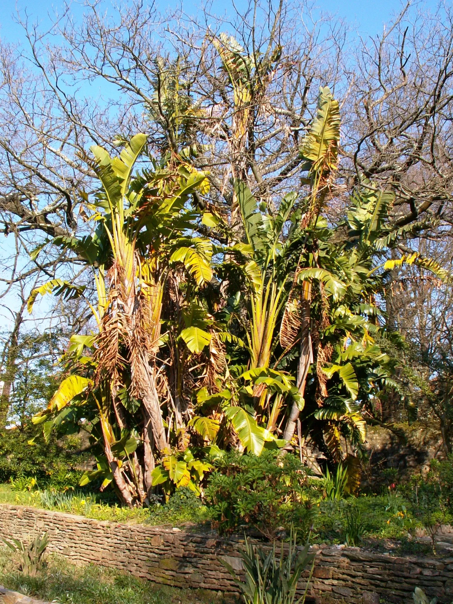 Porto Botanical Garden