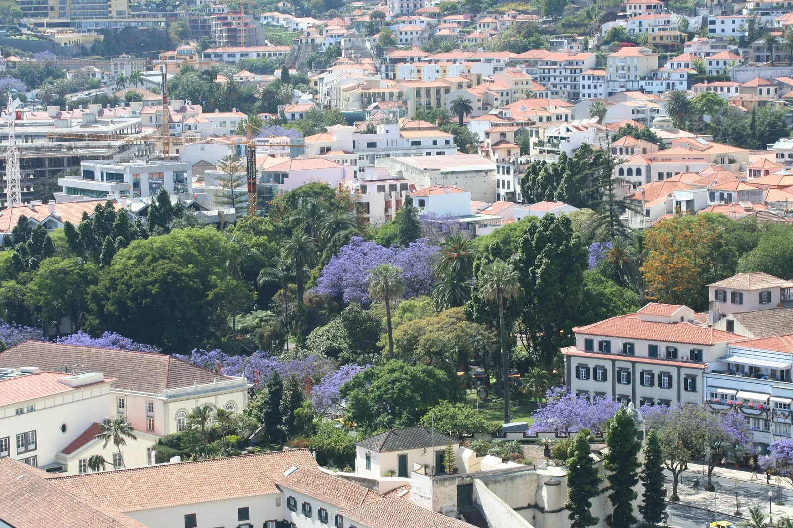 São Lourenço Palace Museum