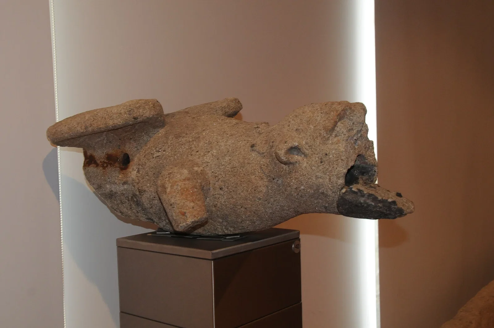 Medina Museum