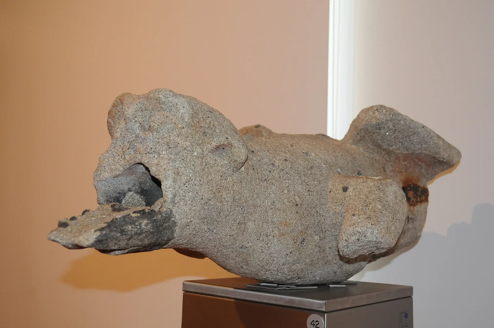 Medina Museum