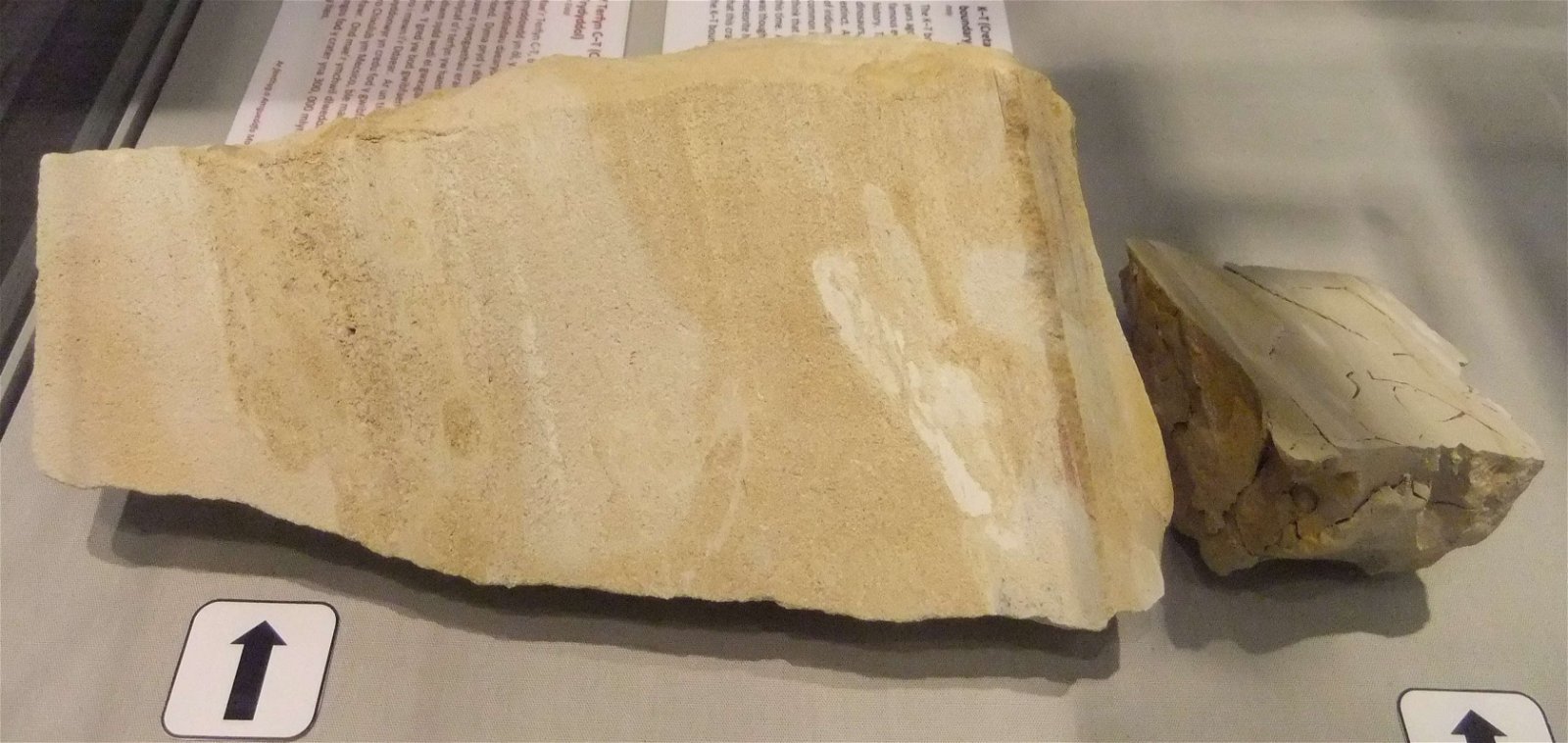 Wrexham County Borough Museum and Archives