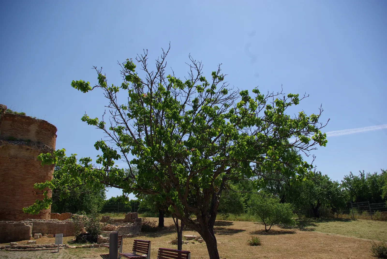 Roman Ruins of Milreu