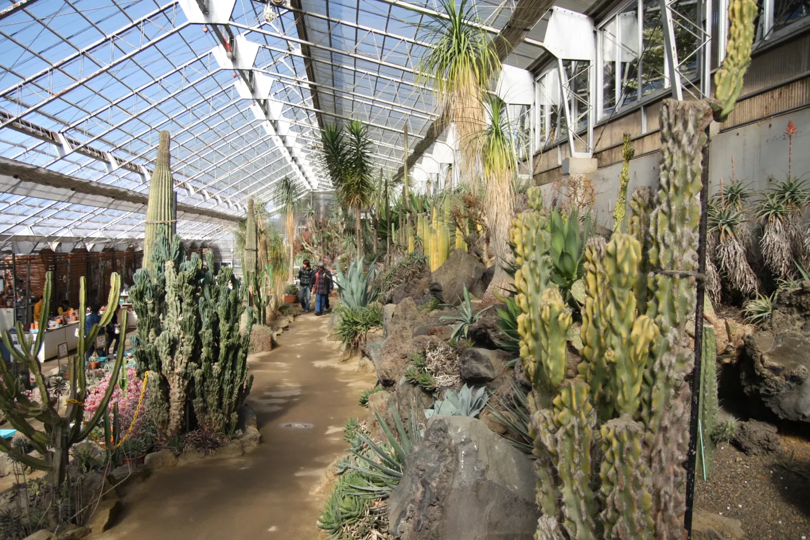 Izu Cactus Park - Izu Shaboten Zoo