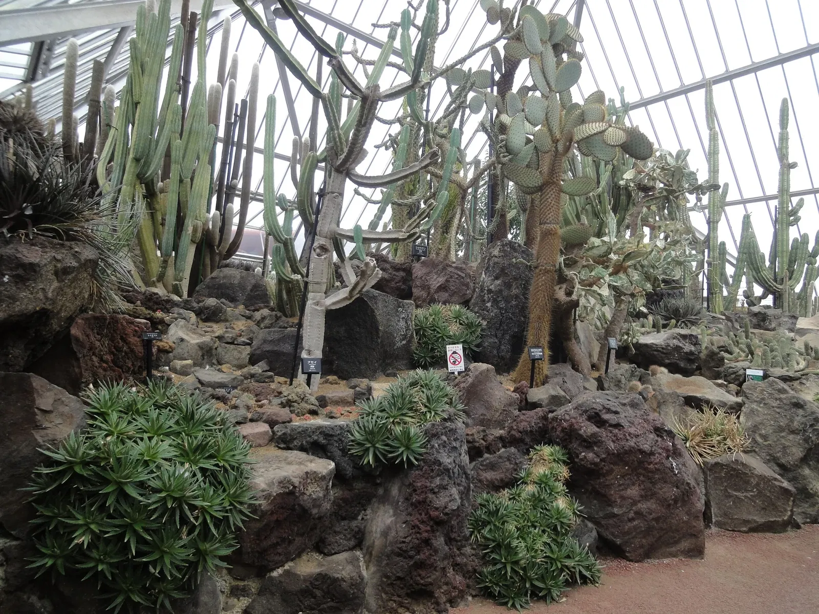 Izu Cactus Park - Izu Shaboten Zoo