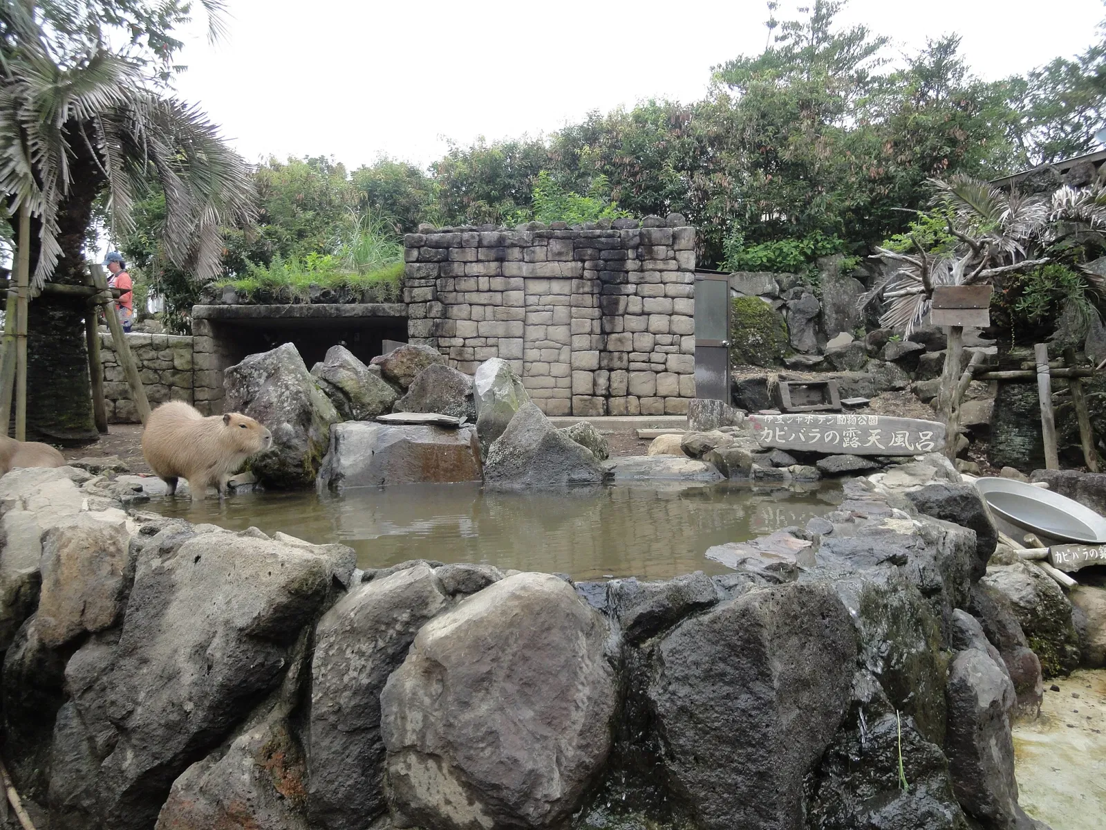 Izu Cactus Park - Izu Shaboten Zoo