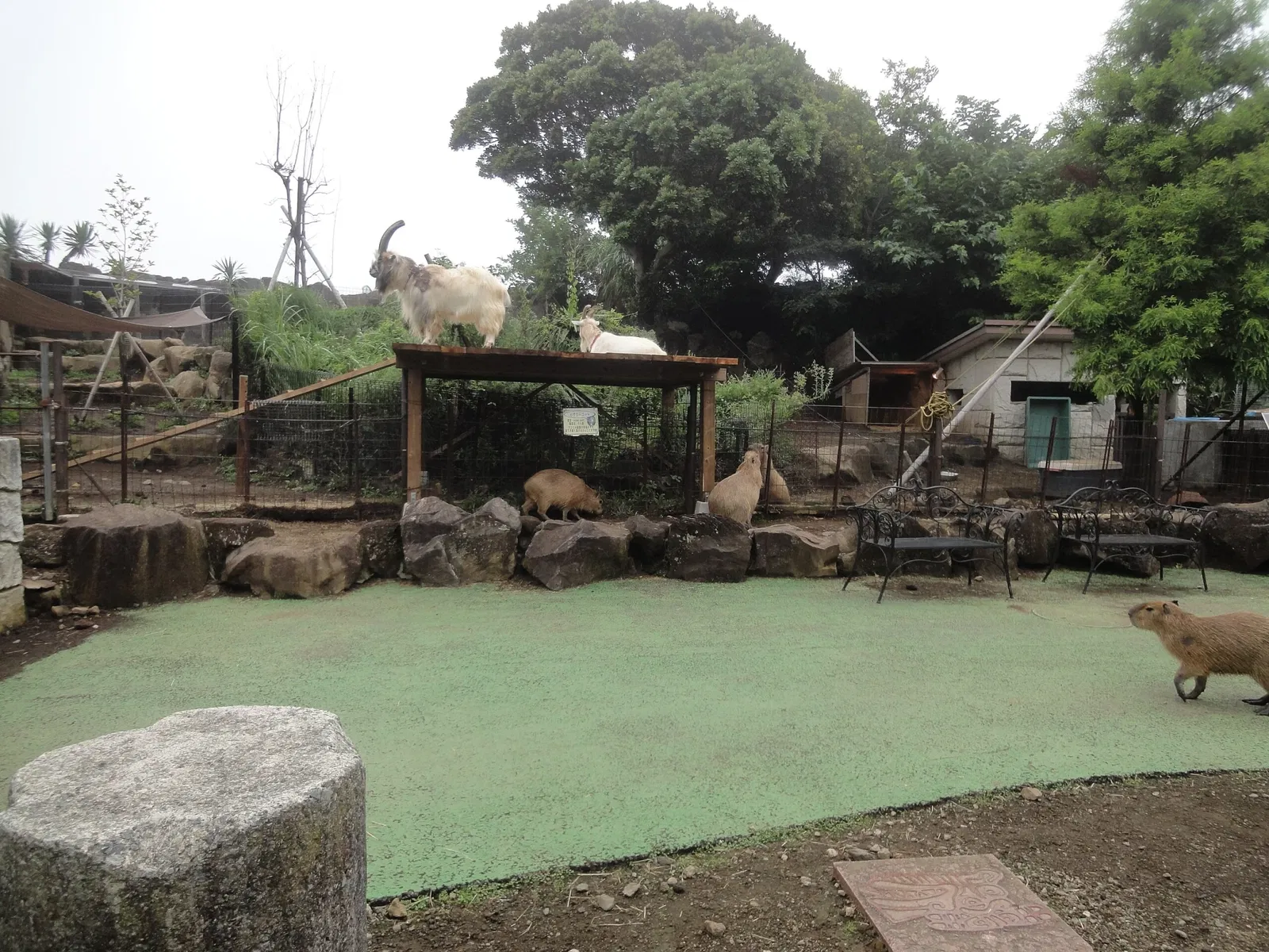 Izu Cactus Park - Izu Shaboten Zoo