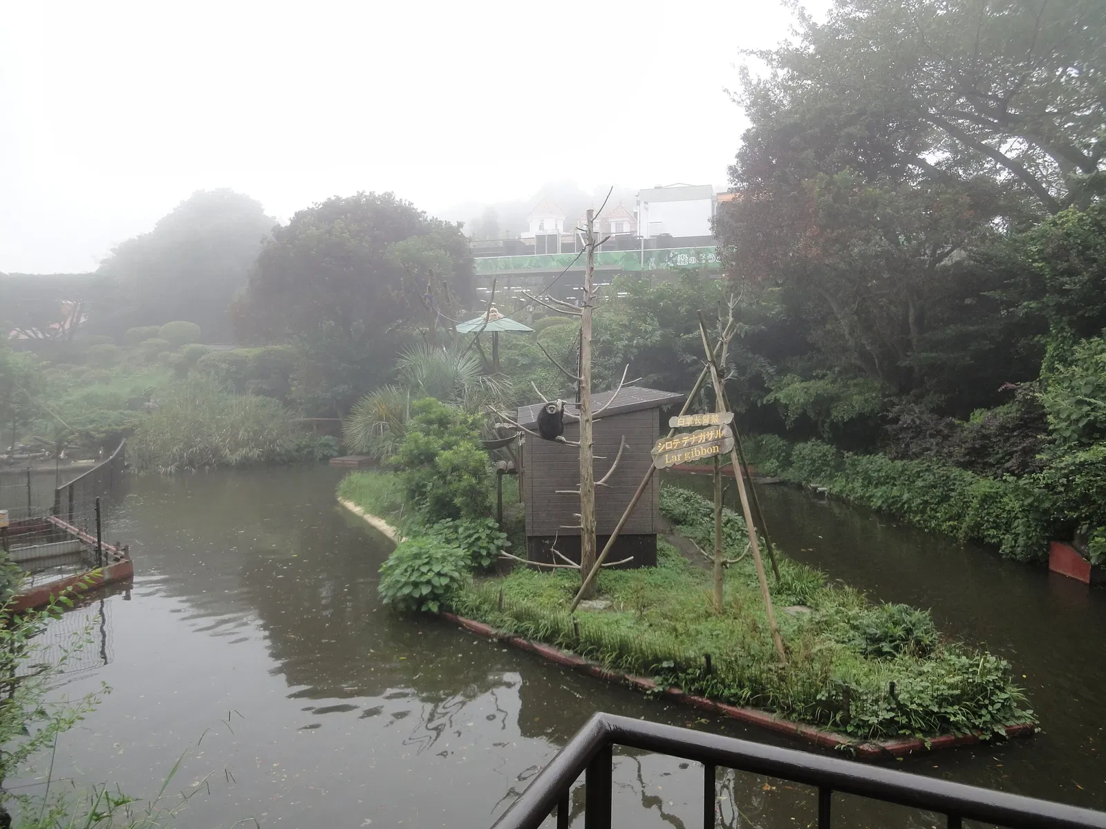 Izu Cactus Park - Izu Shaboten Zoo