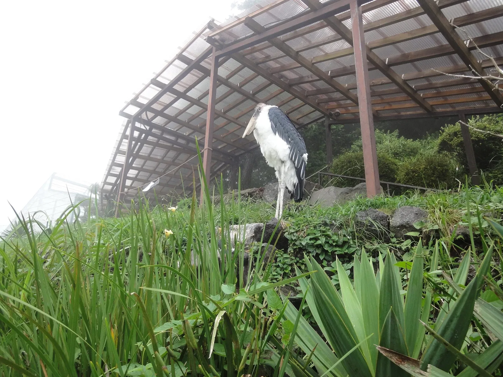 Izu Cactus Park - Izu Shaboten Zoo