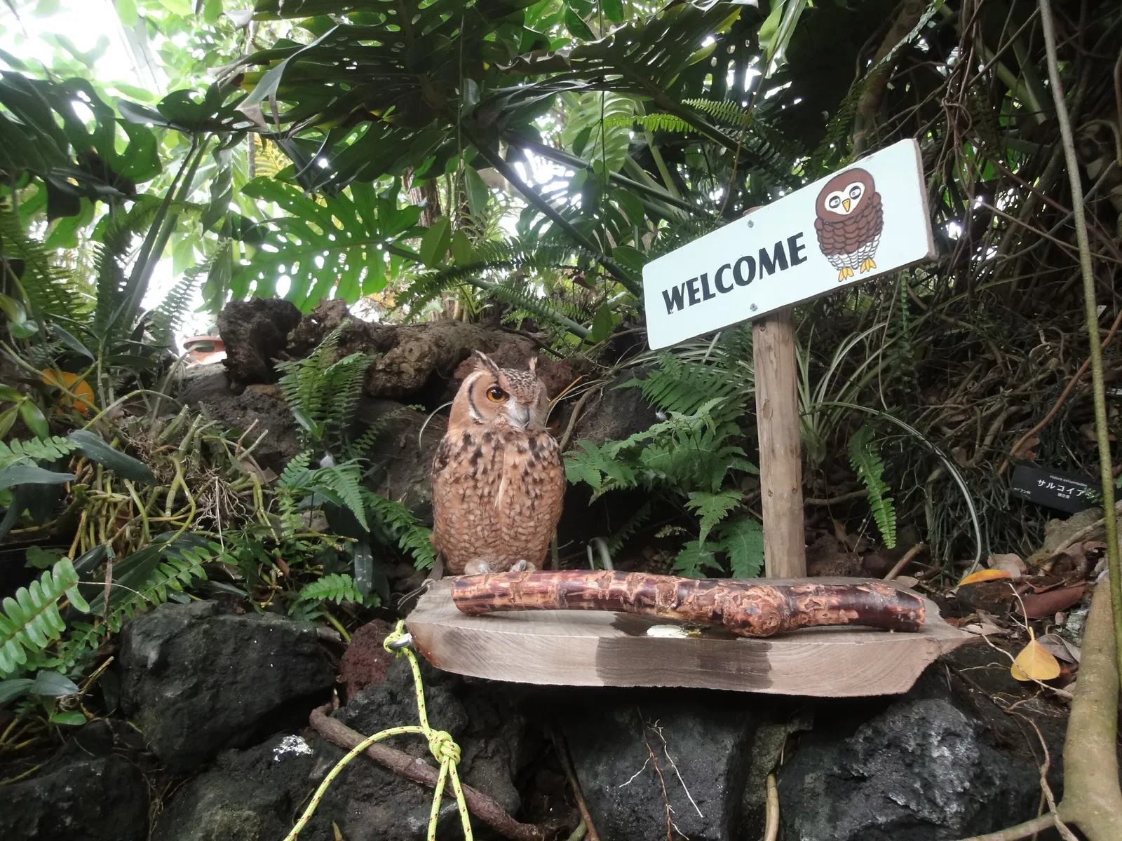 Izu Cactus Park - Izu Shaboten Zoo
