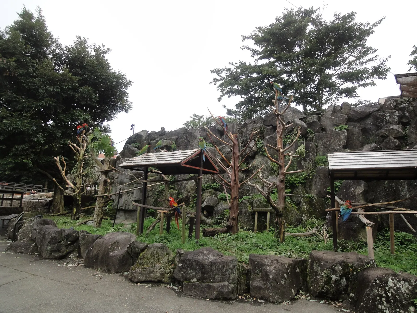 Izu Cactus Park - Izu Shaboten Zoo