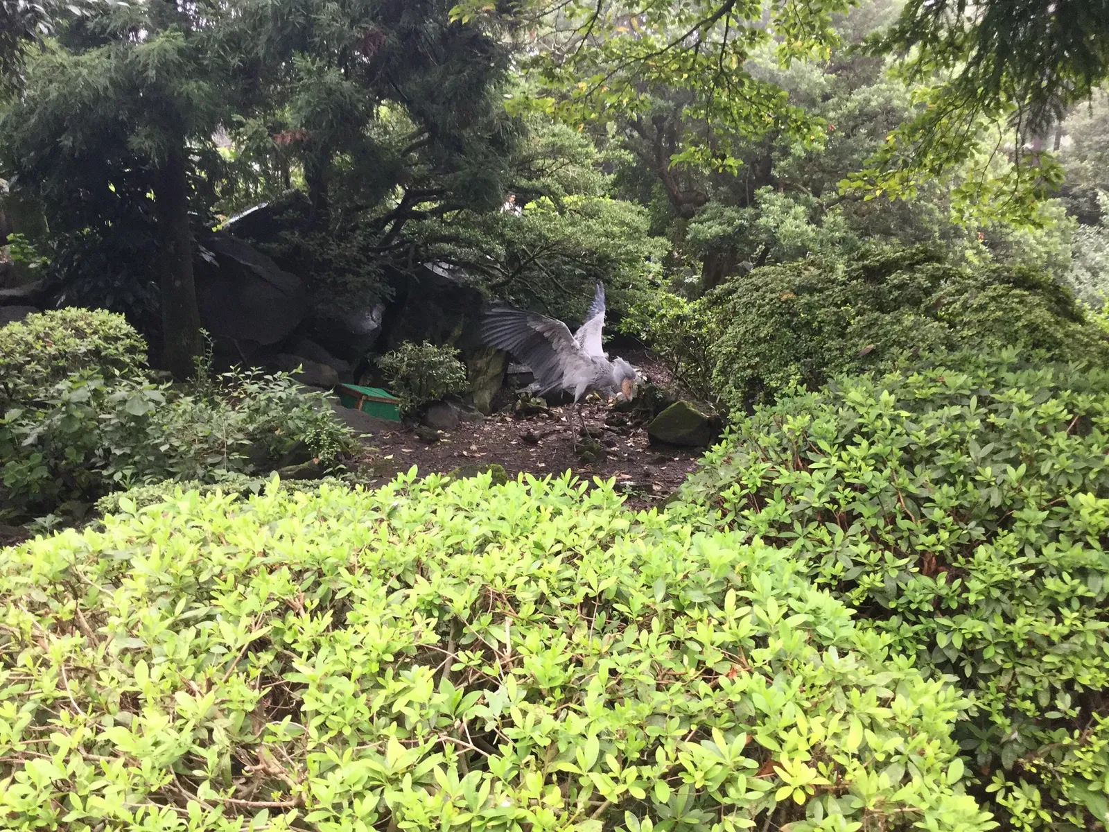 Izu Cactus Park - Izu Shaboten Zoo