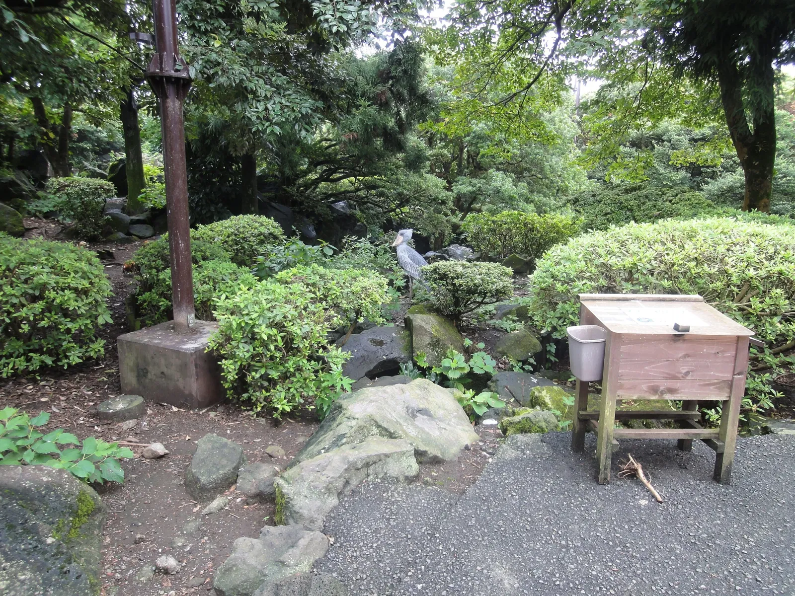 Izu Cactus Park - Izu Shaboten Zoo
