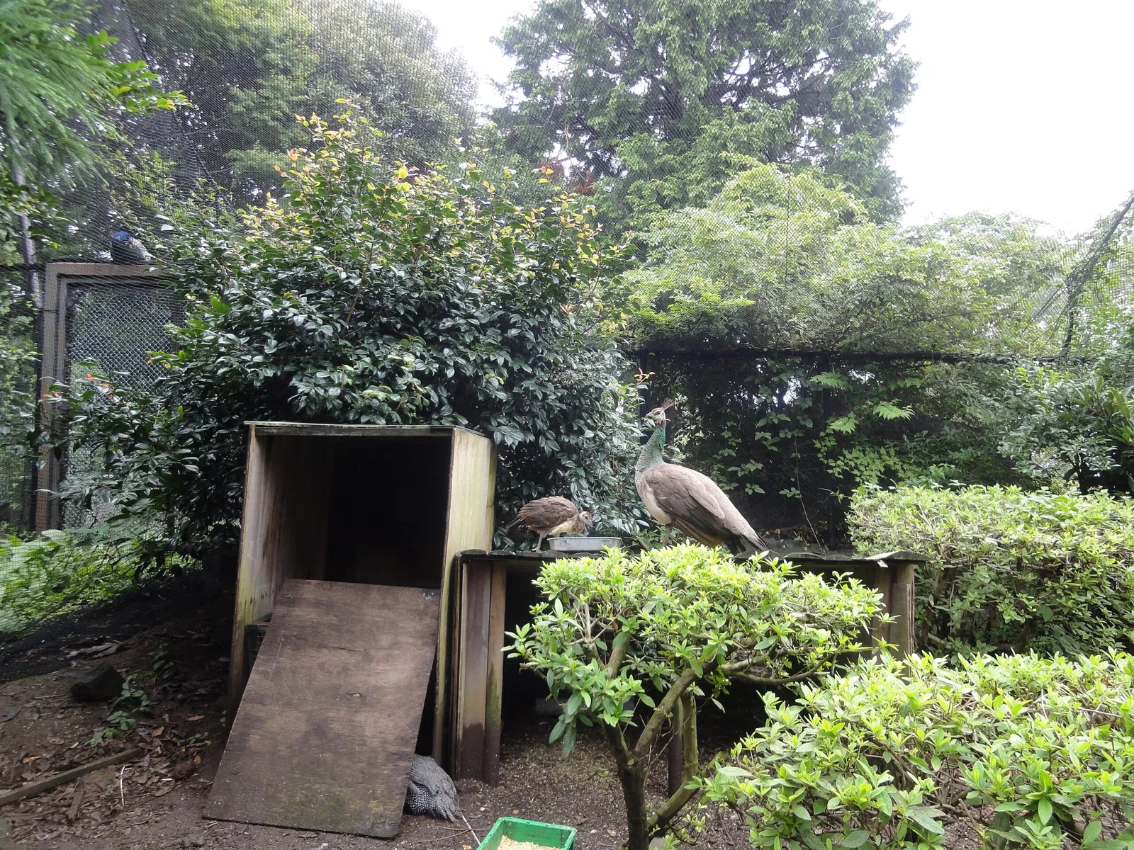 Izu Cactus Park - Izu Shaboten Zoo