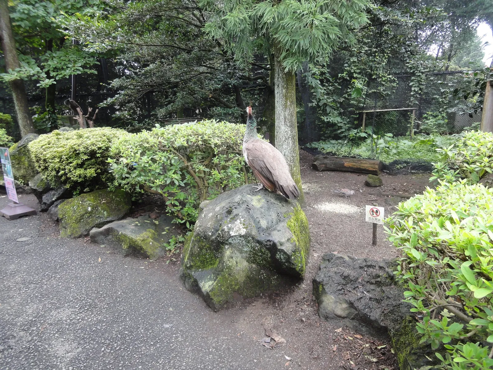 Izu Cactus Park - Izu Shaboten Zoo